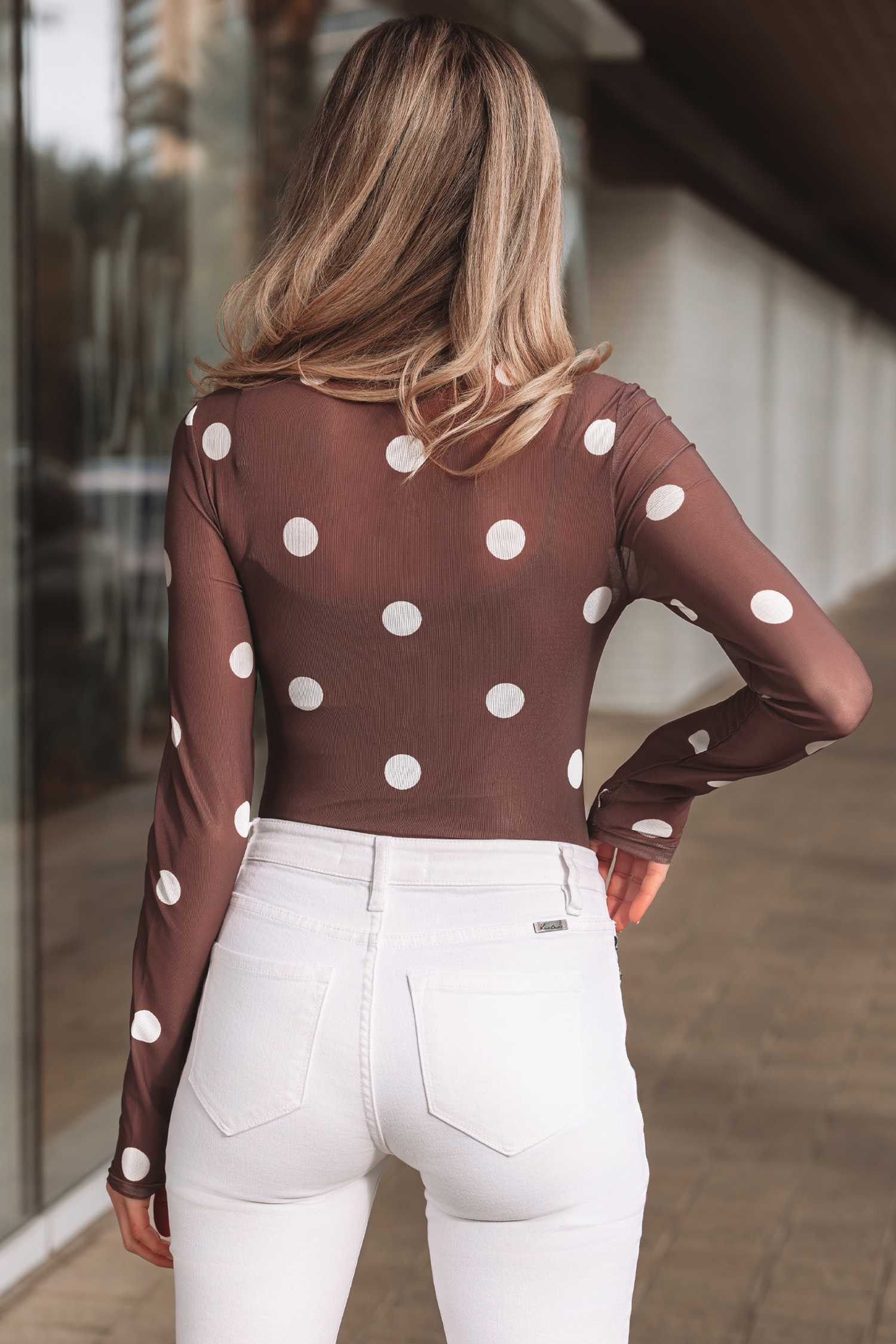 Brown Vintage Polka Dot Print Mesh Long Sleeve Bodysuit
