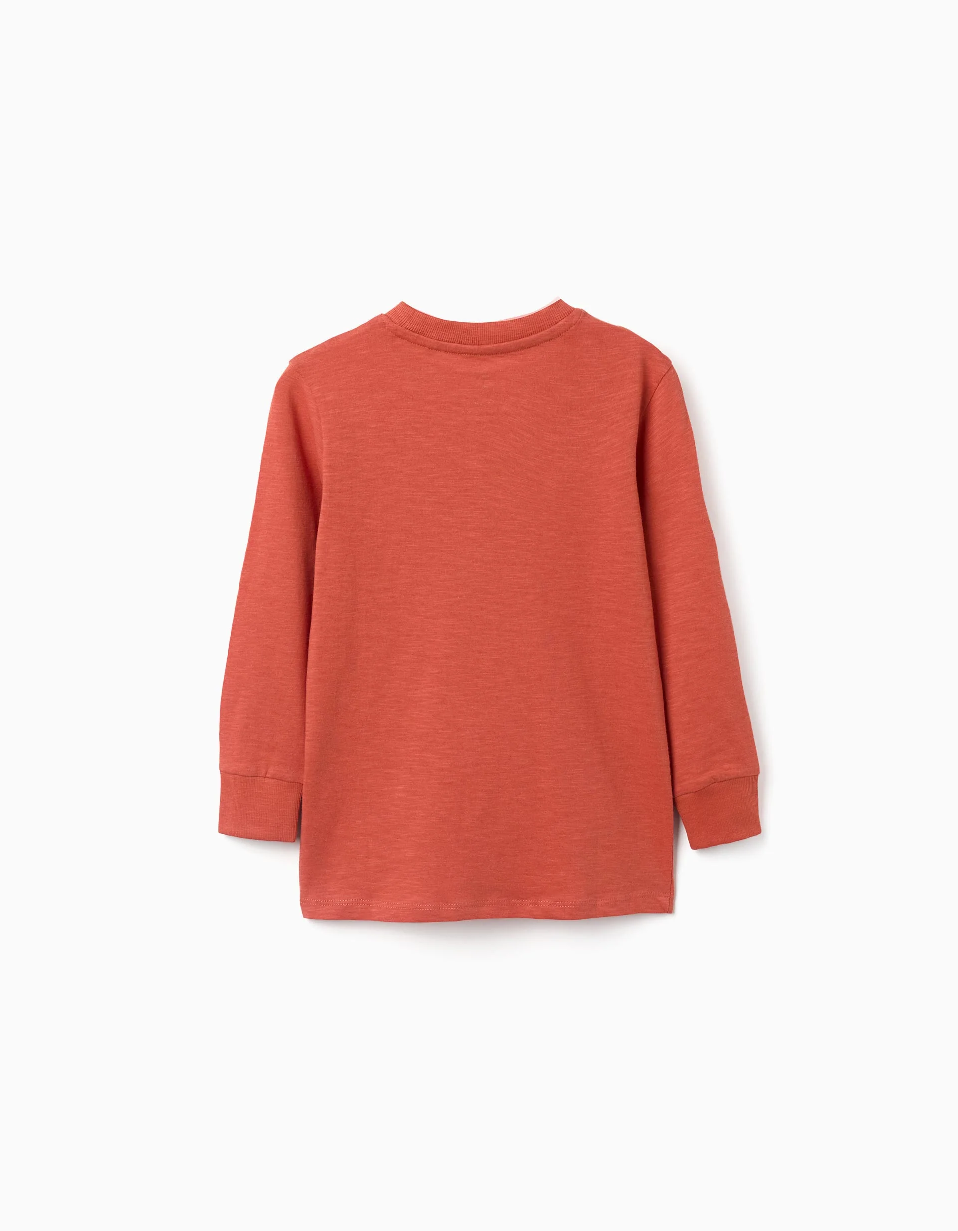 Long sleeve cotton T-shirt with Lanzarote print for boys, orange