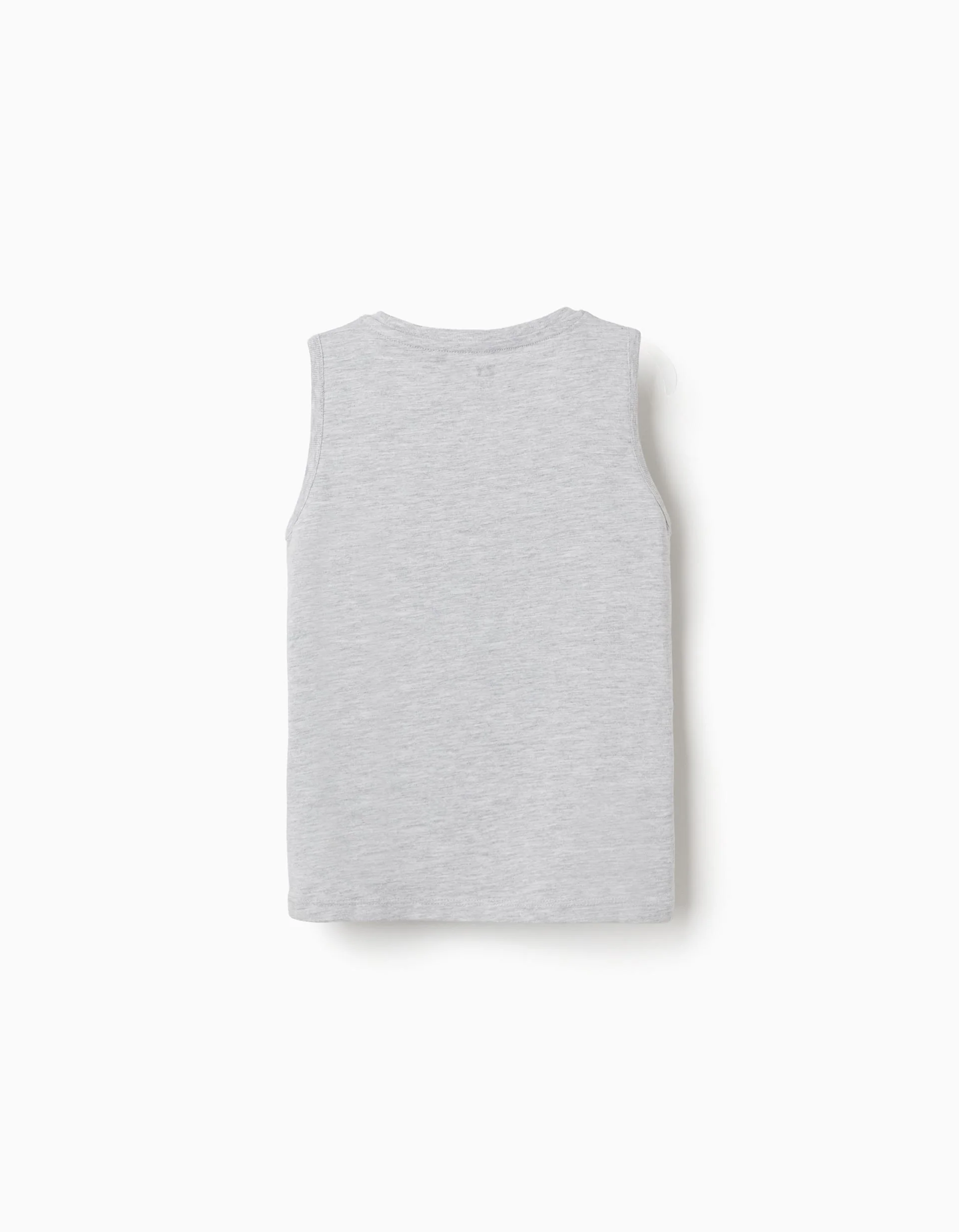 Pack of 2 cotton tank tops with beach prints for boys, grey/blue