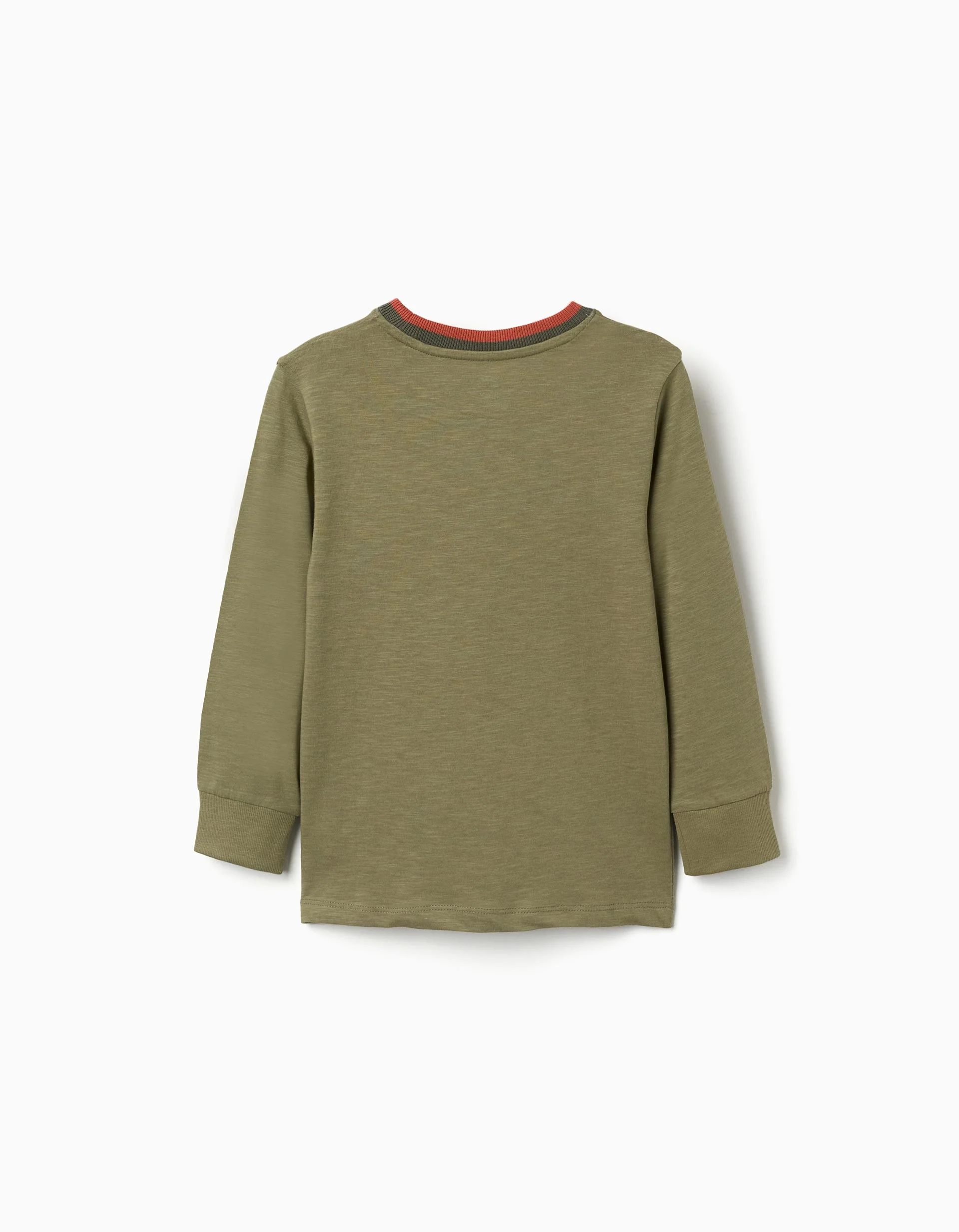 Long sleeve cotton T-shirt Cactus Garden for boys, dark green