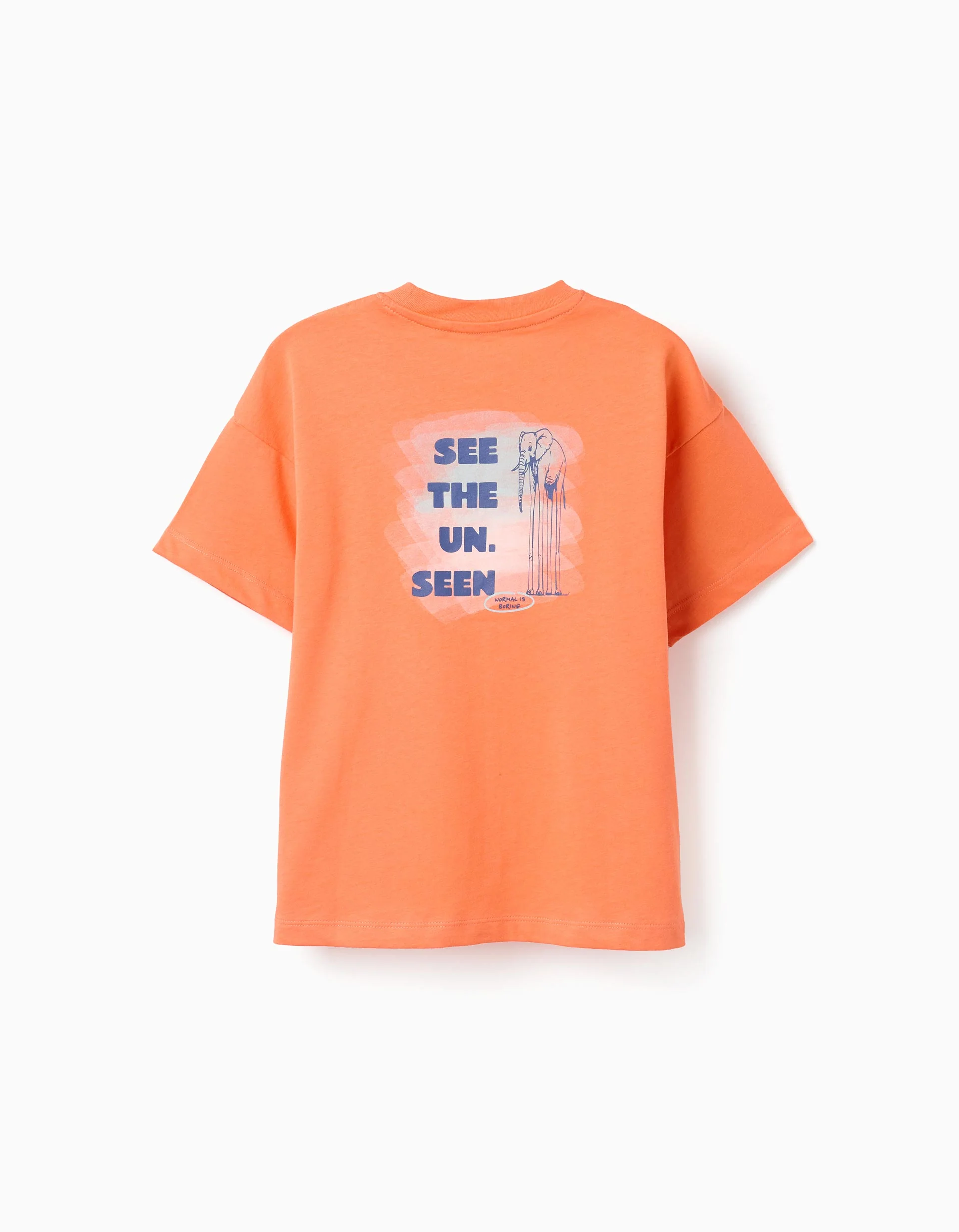 Cotton T-shirt with Normal is Boring print for boys, orange