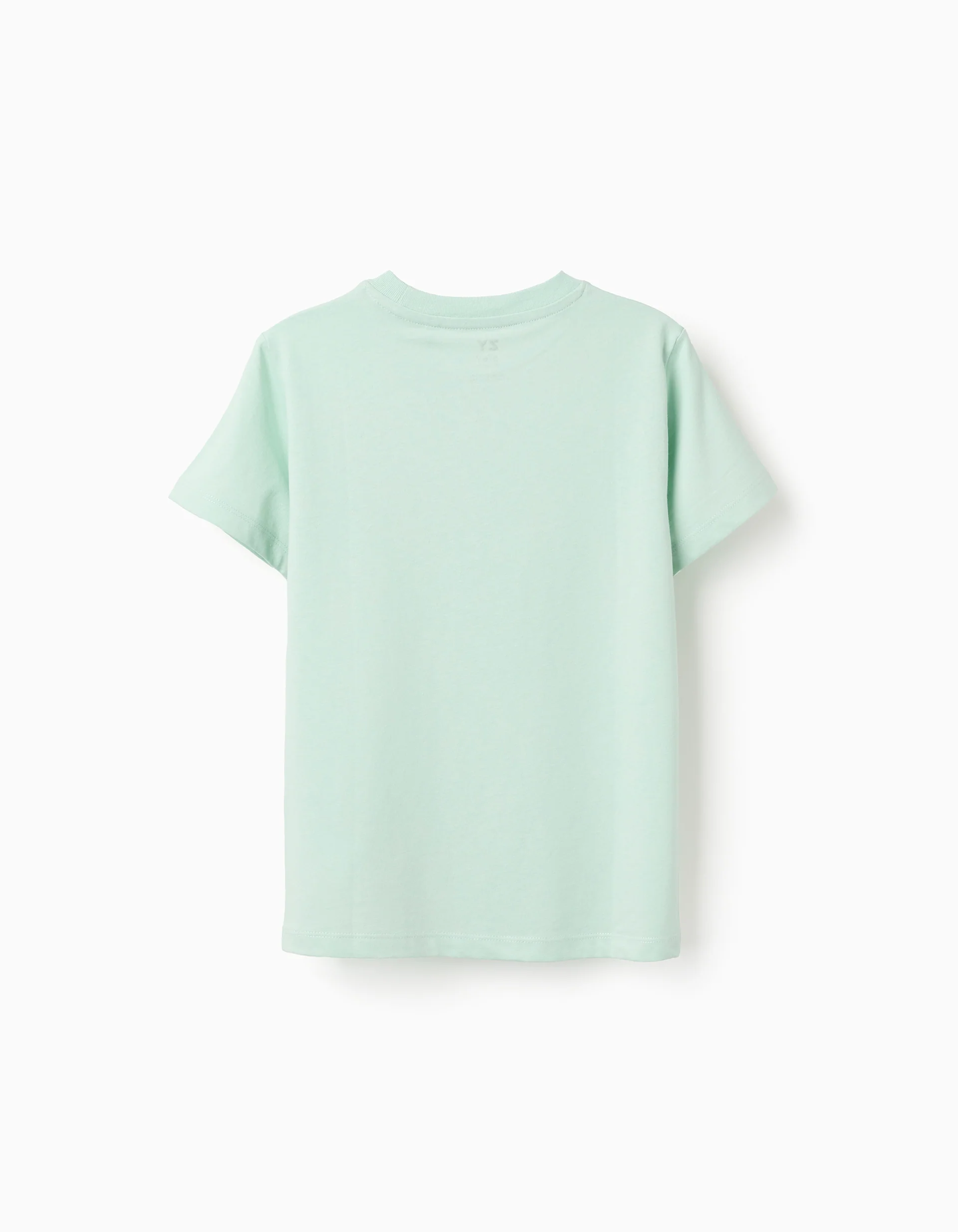 Cotton T-shirt with Peixinho do Mar print for boys, light green