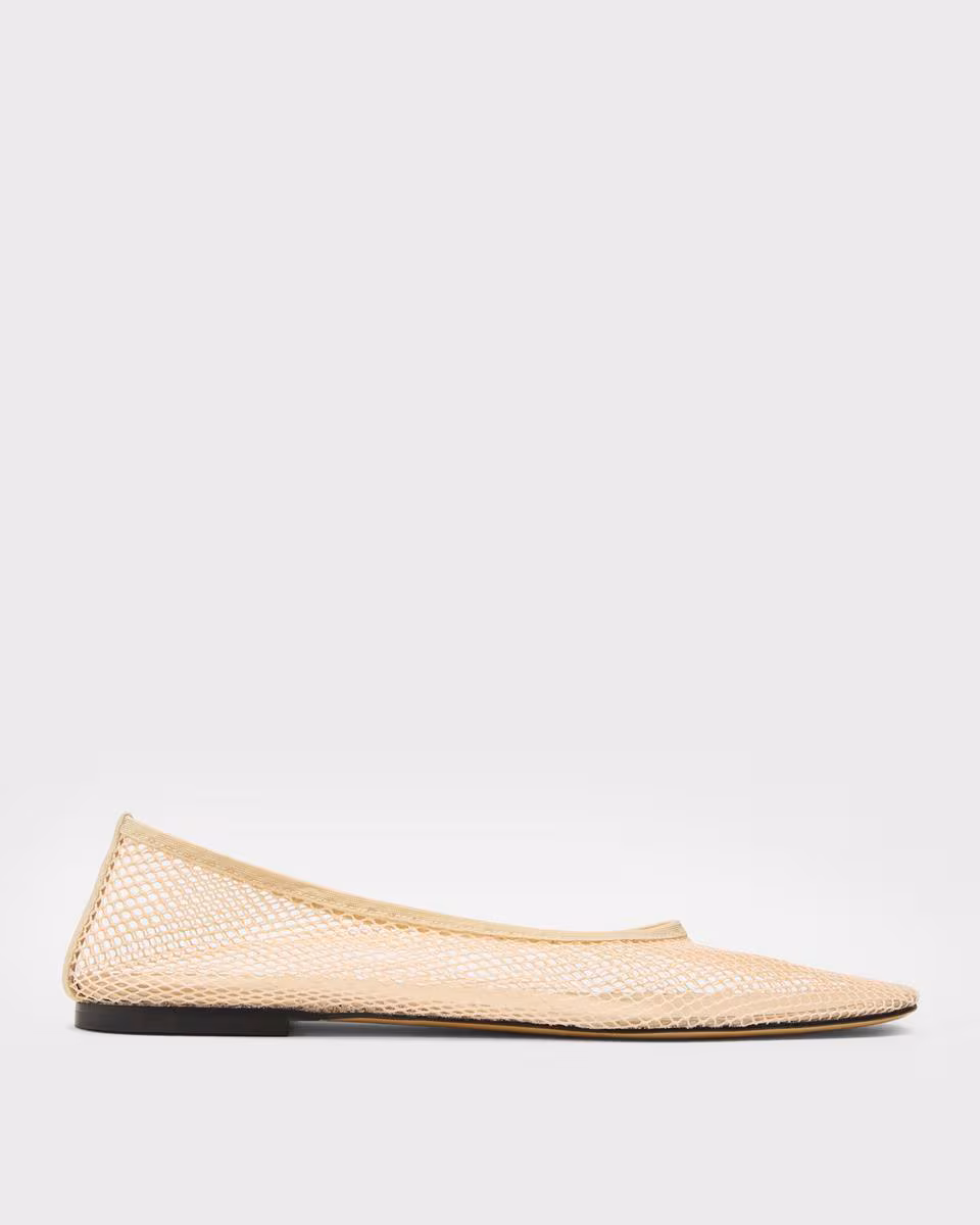 Ballet Flat in Mesh