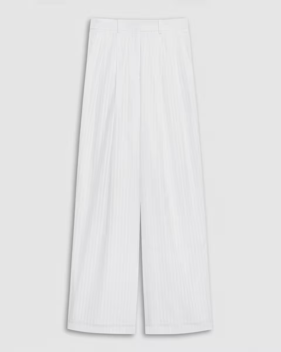 Double Pleat Pant in Linear Cotton