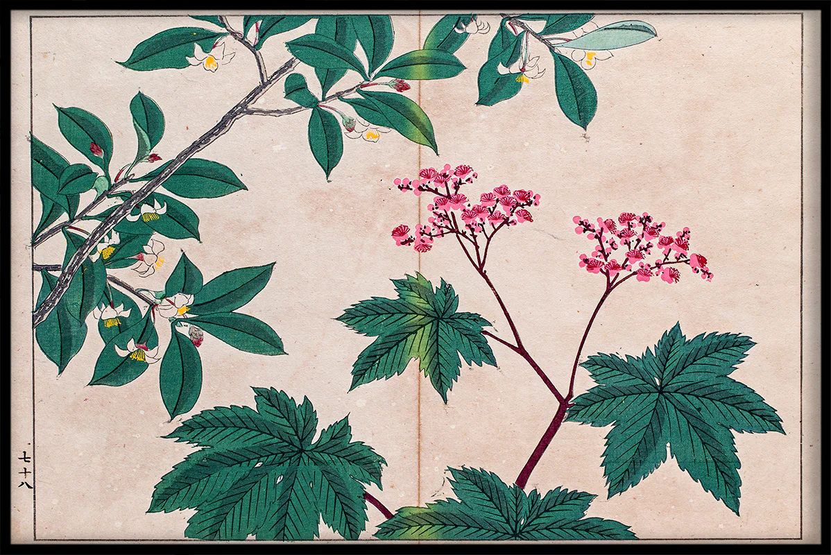 Japan Illustration N02 juliste