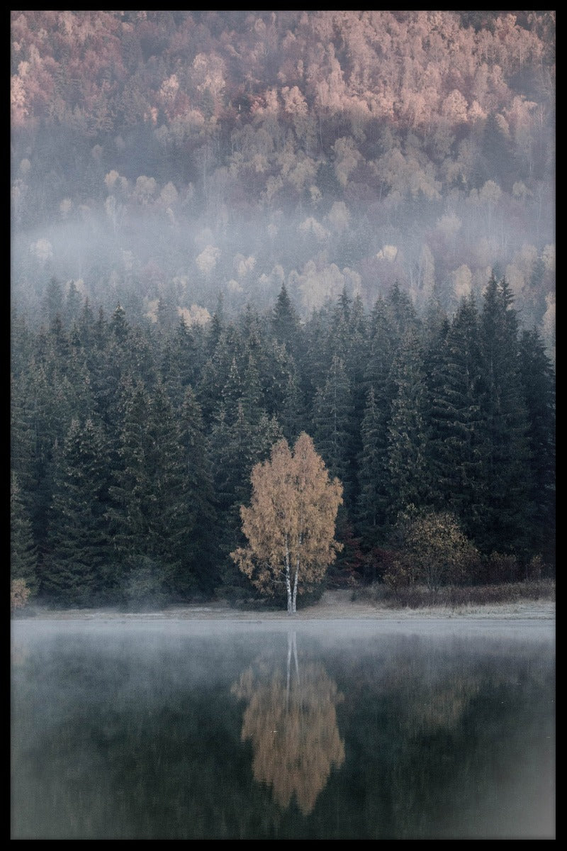 Sunrise Misty juliste