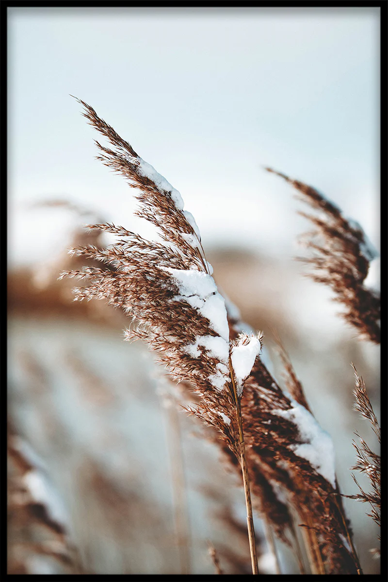 Nordic Winter N02 juliste