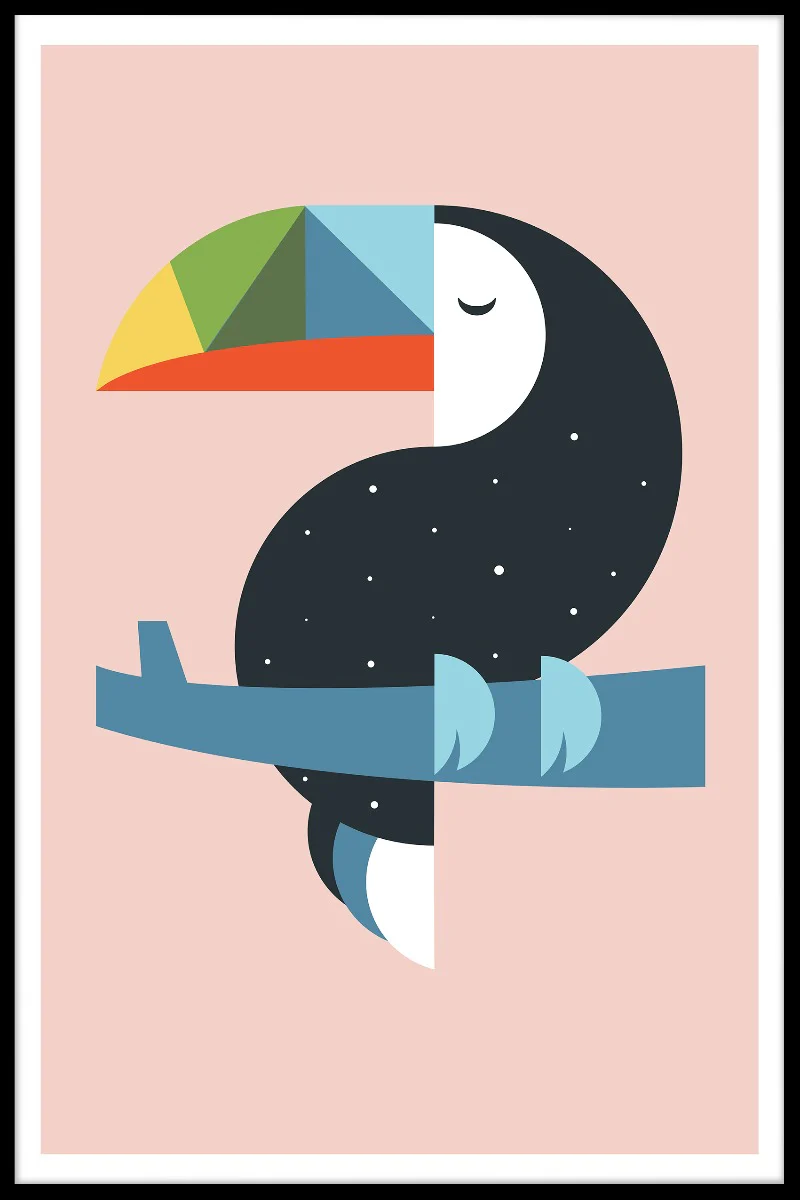 Toucan Rio Bird juliste