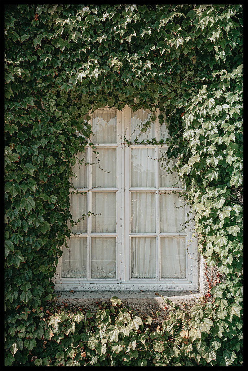 Light & Vintage N02 juliste