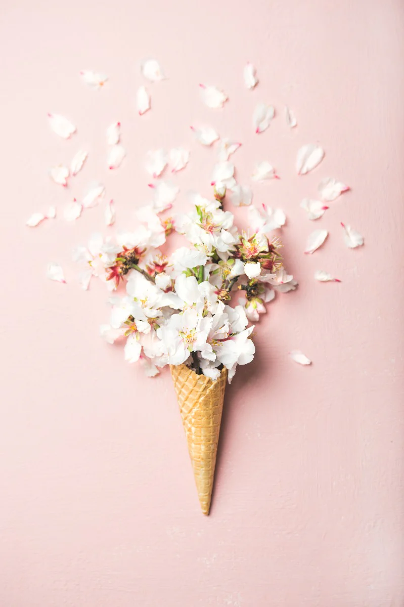 Waffle Cone Flower juliste