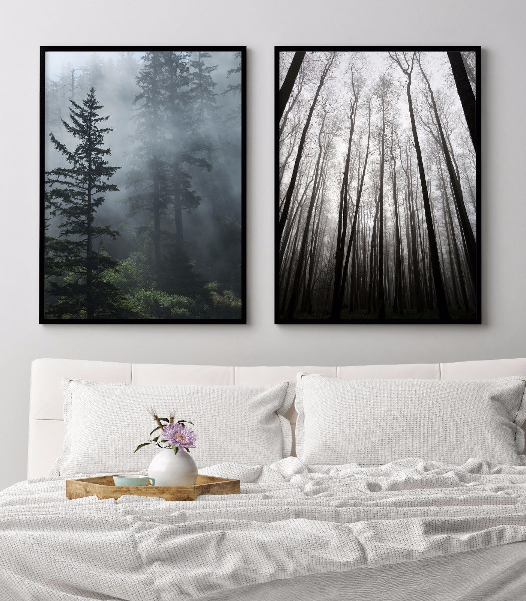 Fog in Evergreen Forest juliste