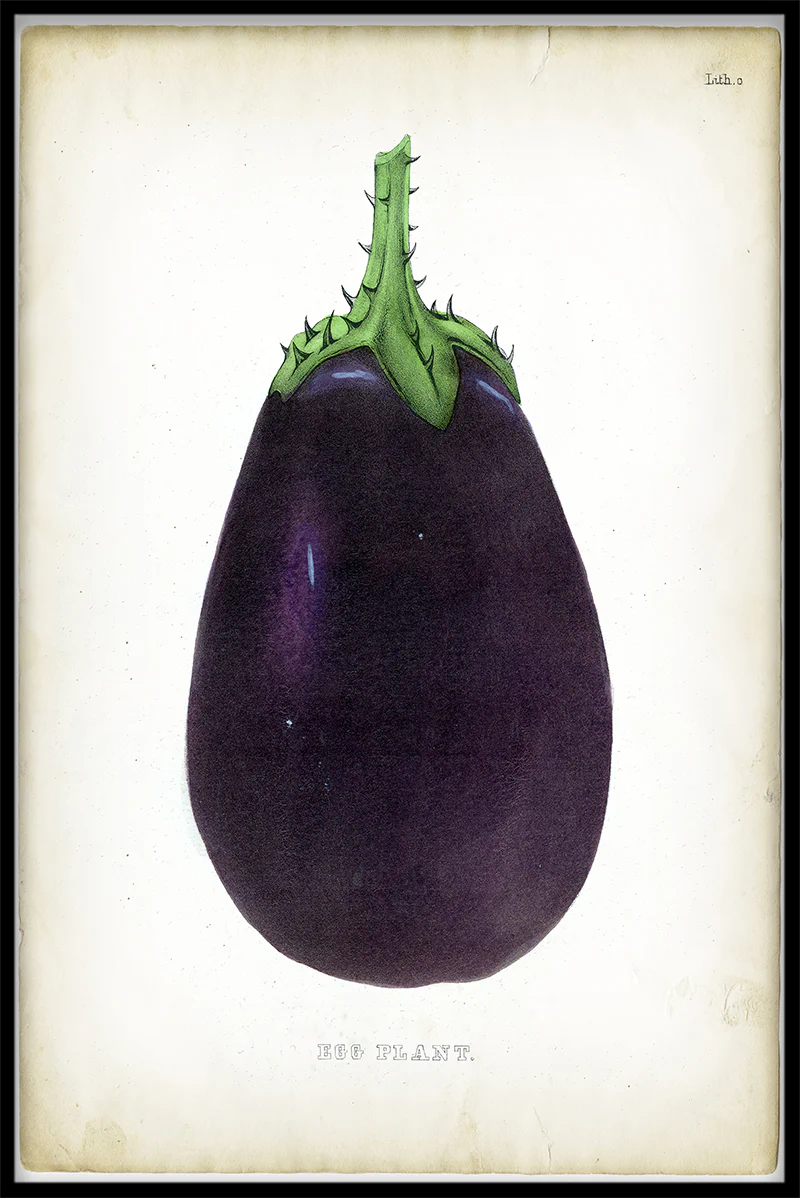 Plants & Flowers N03 juliste