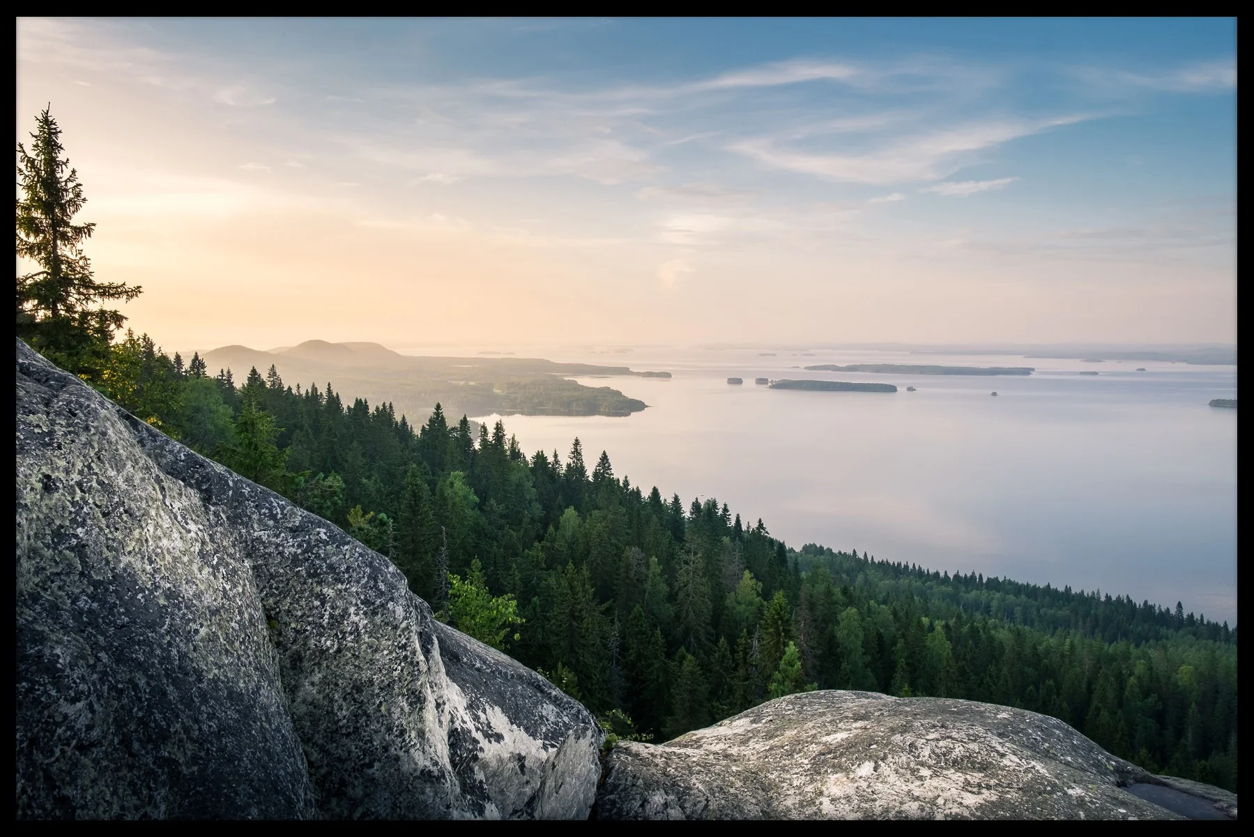 Koli National Park juliste
