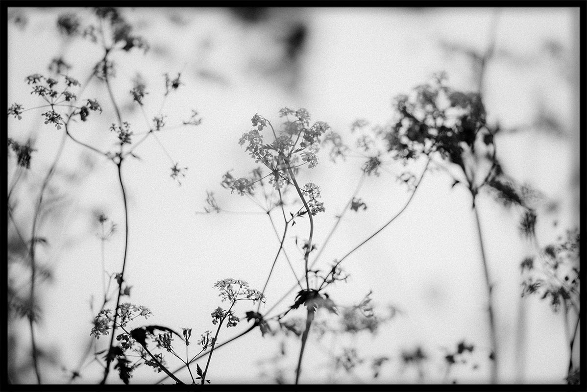 Scandinavian Nature N01 juliste