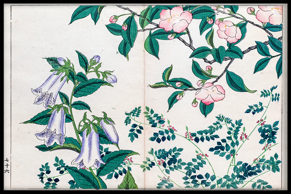 Japan Illustration N01 juliste