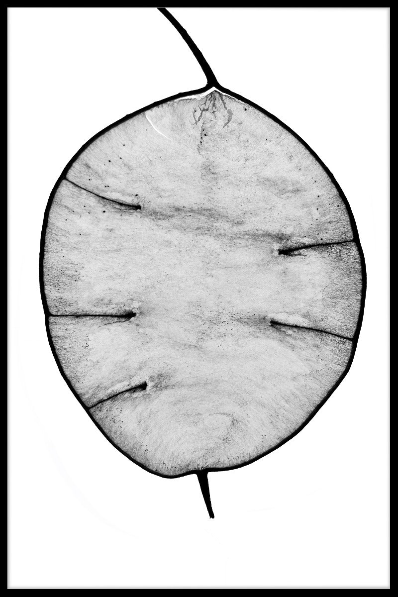 Illustration Abstract N02 juliste