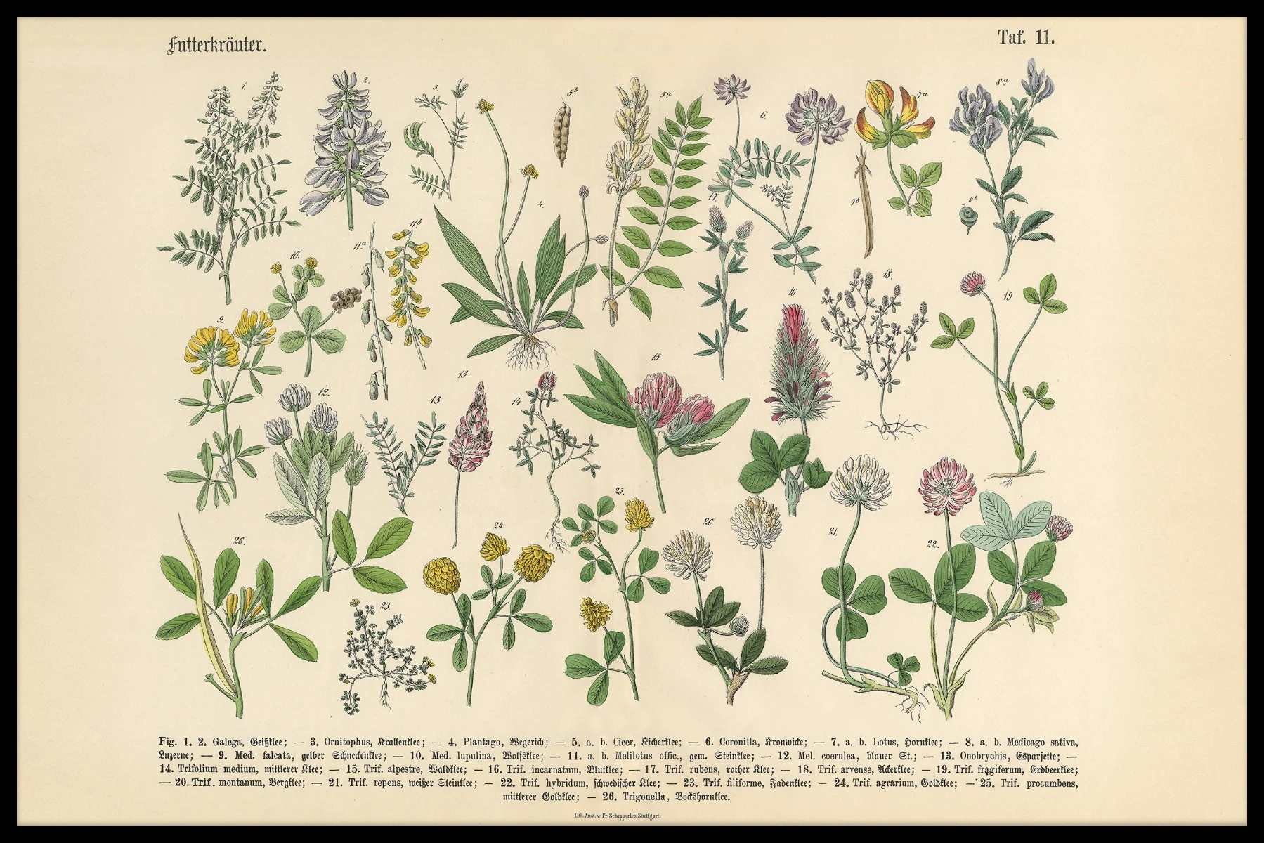 Victorian Garden Vintage juliste