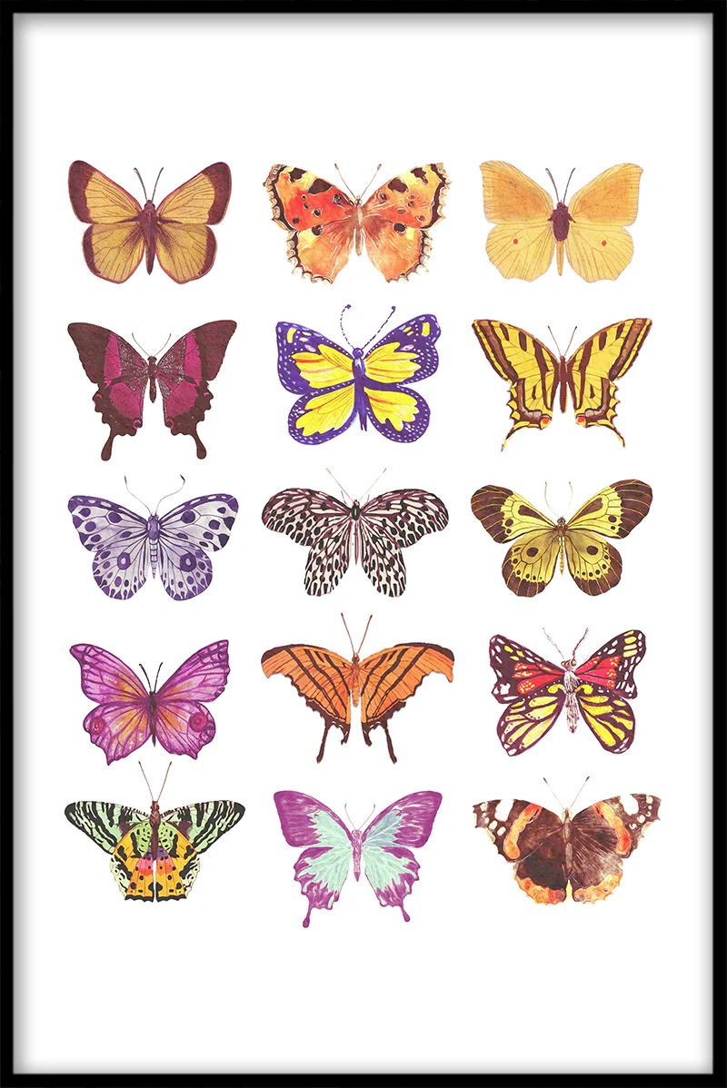 Butterflies juliste
