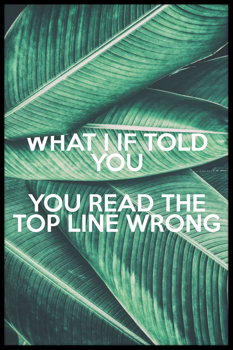 What I If Told You N02 juliste