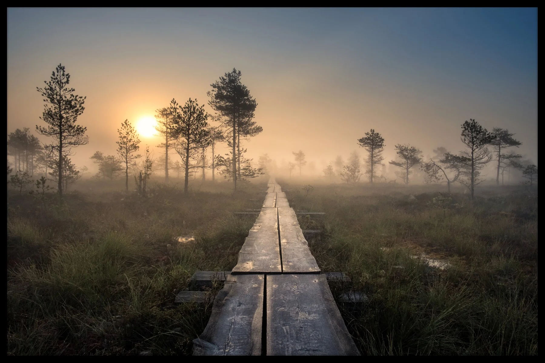 Torronsuo Finland juliste