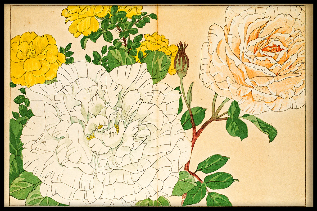 Japanese Illustration N04 juliste