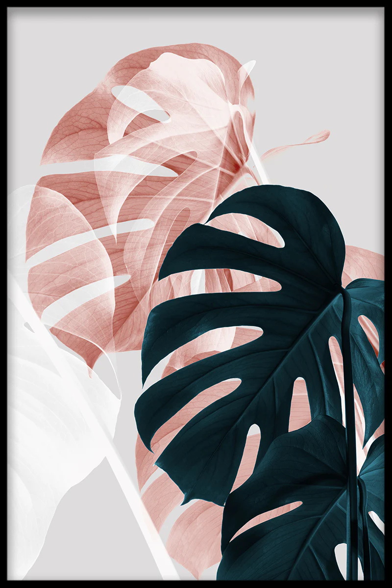 Abstract Monstera N02 juliste