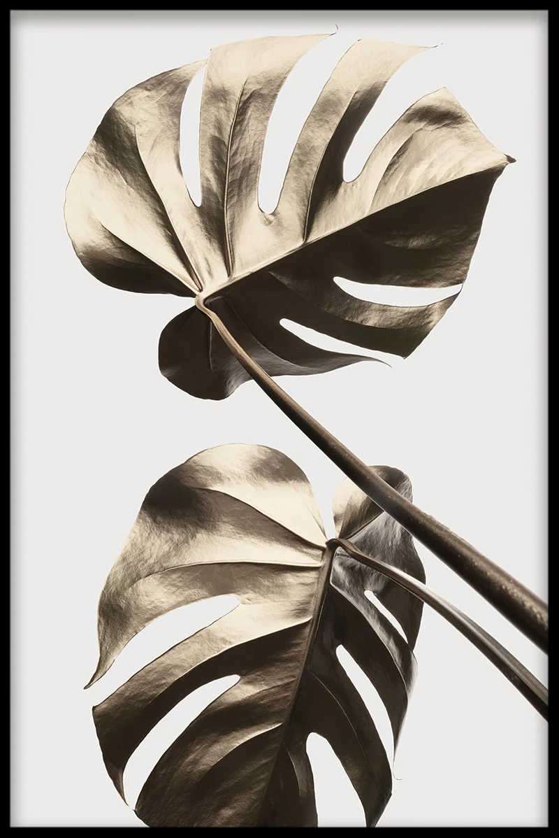Gold Monstera N02 juliste-pp