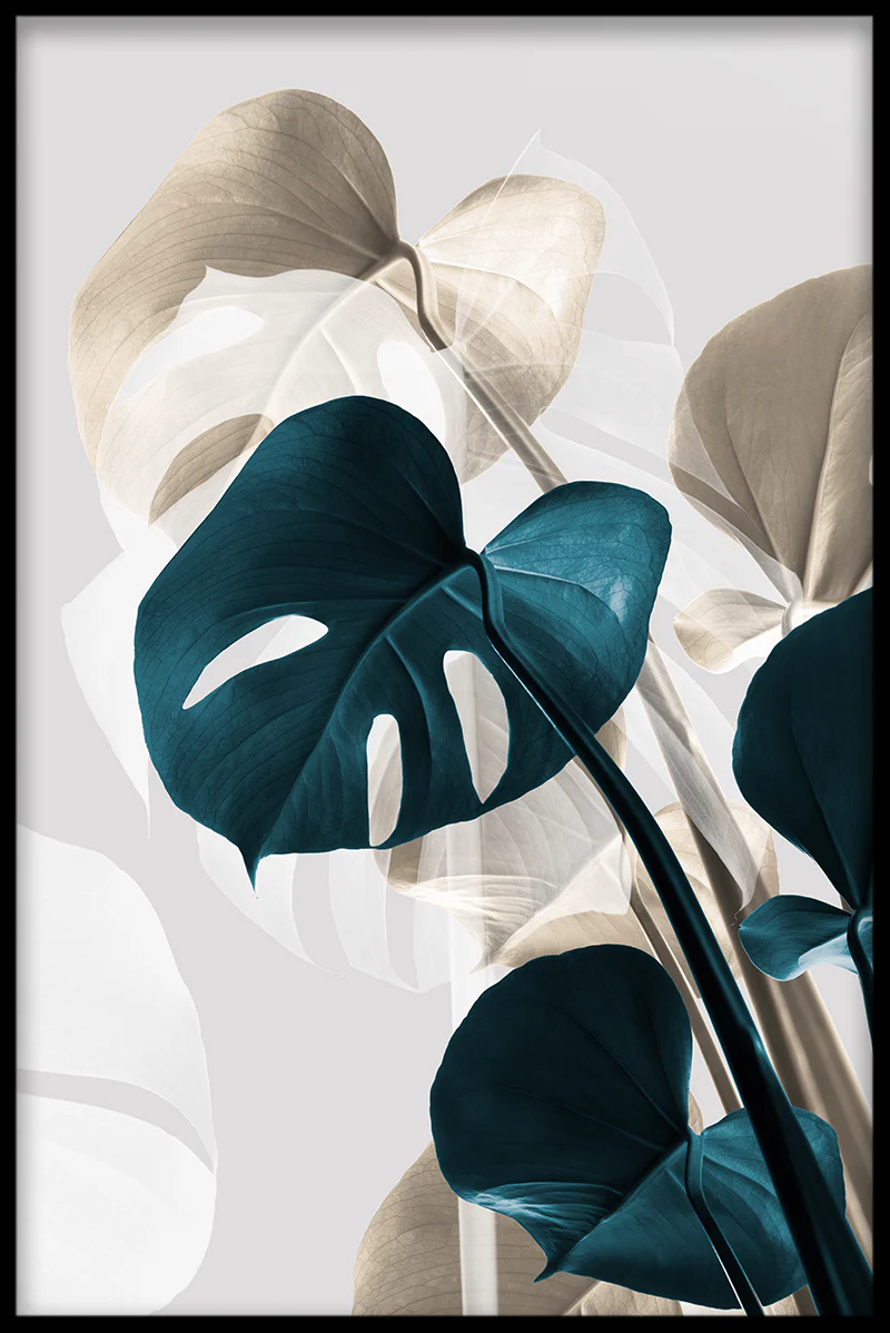Abstract Monstera N03 juliste