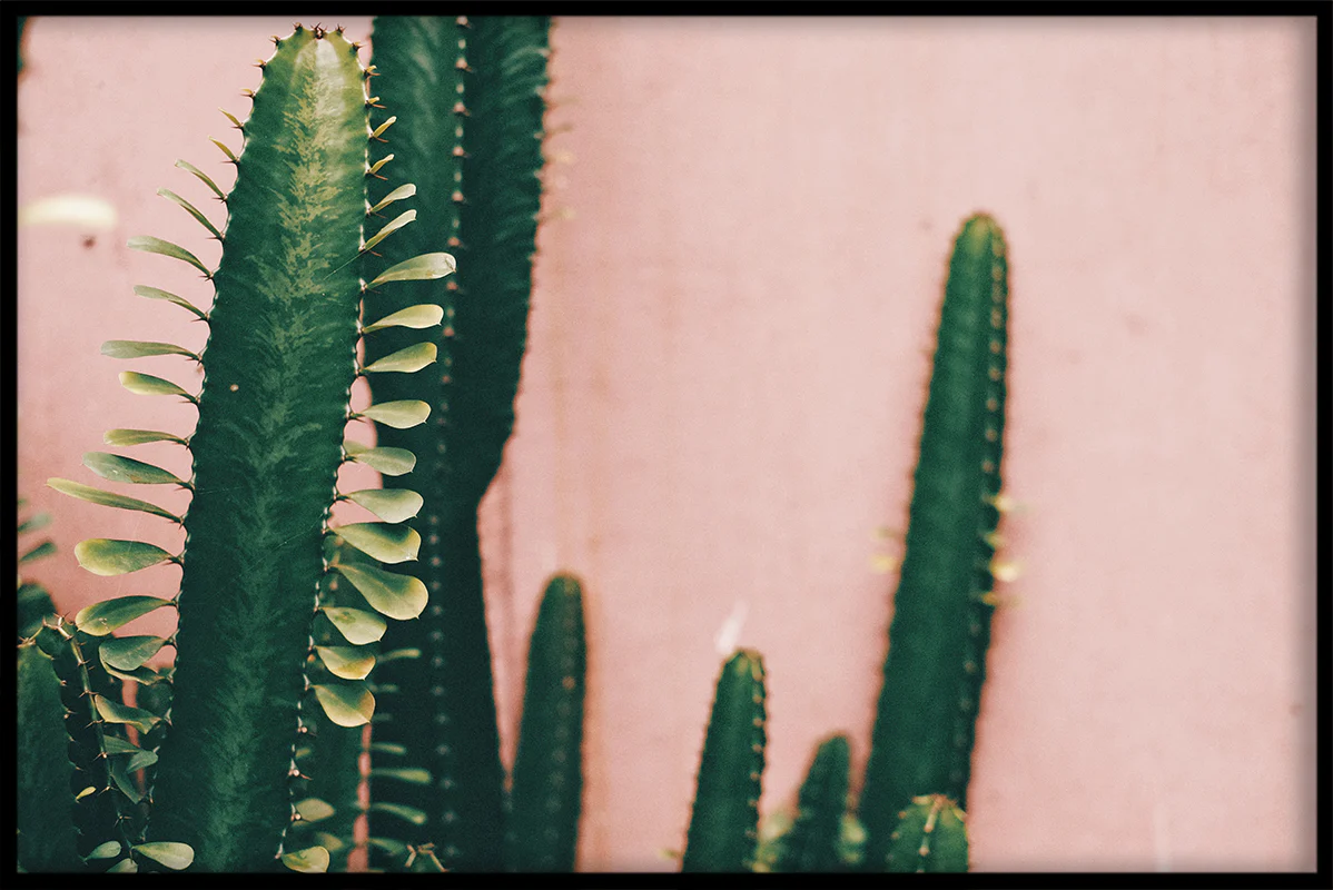 Green & Pink N05 juliste