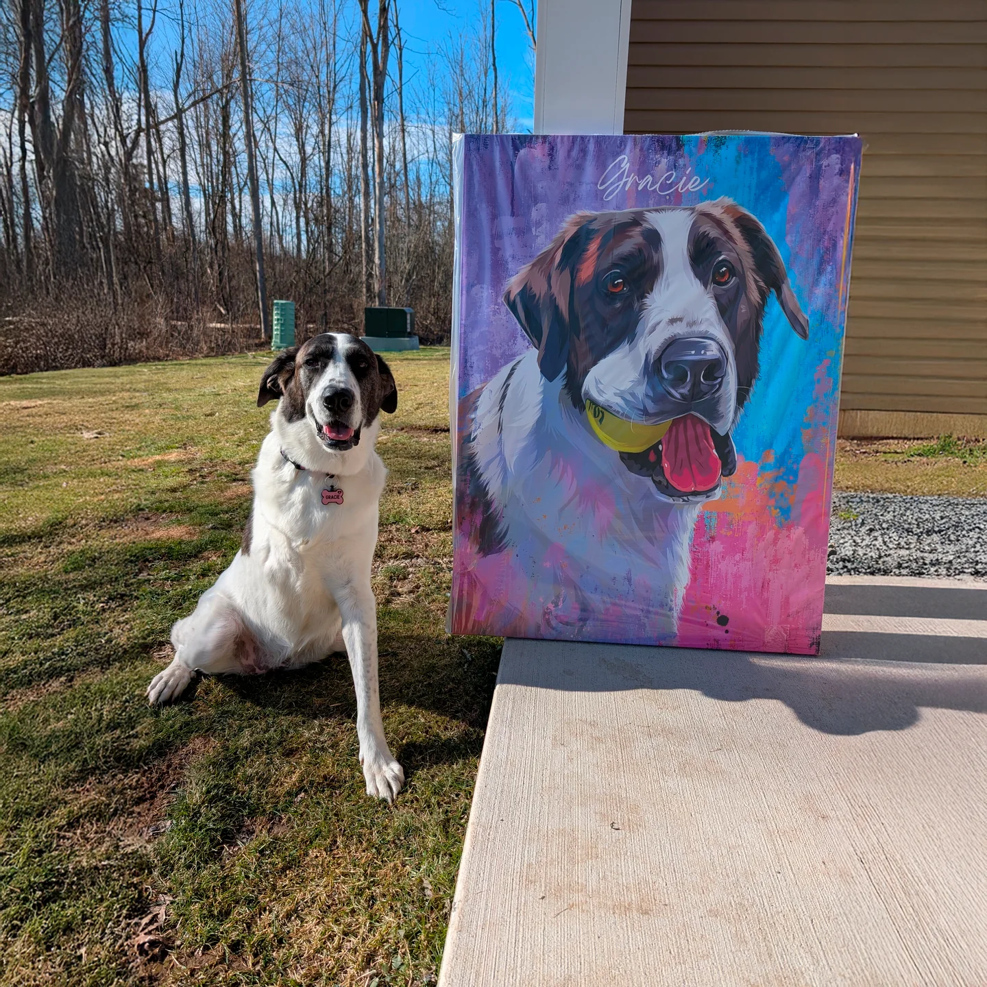 Custom Abstract Pet Portrait – Hand-Painted Modern Dog & Cat Artwork - MyPetMade - $65.99