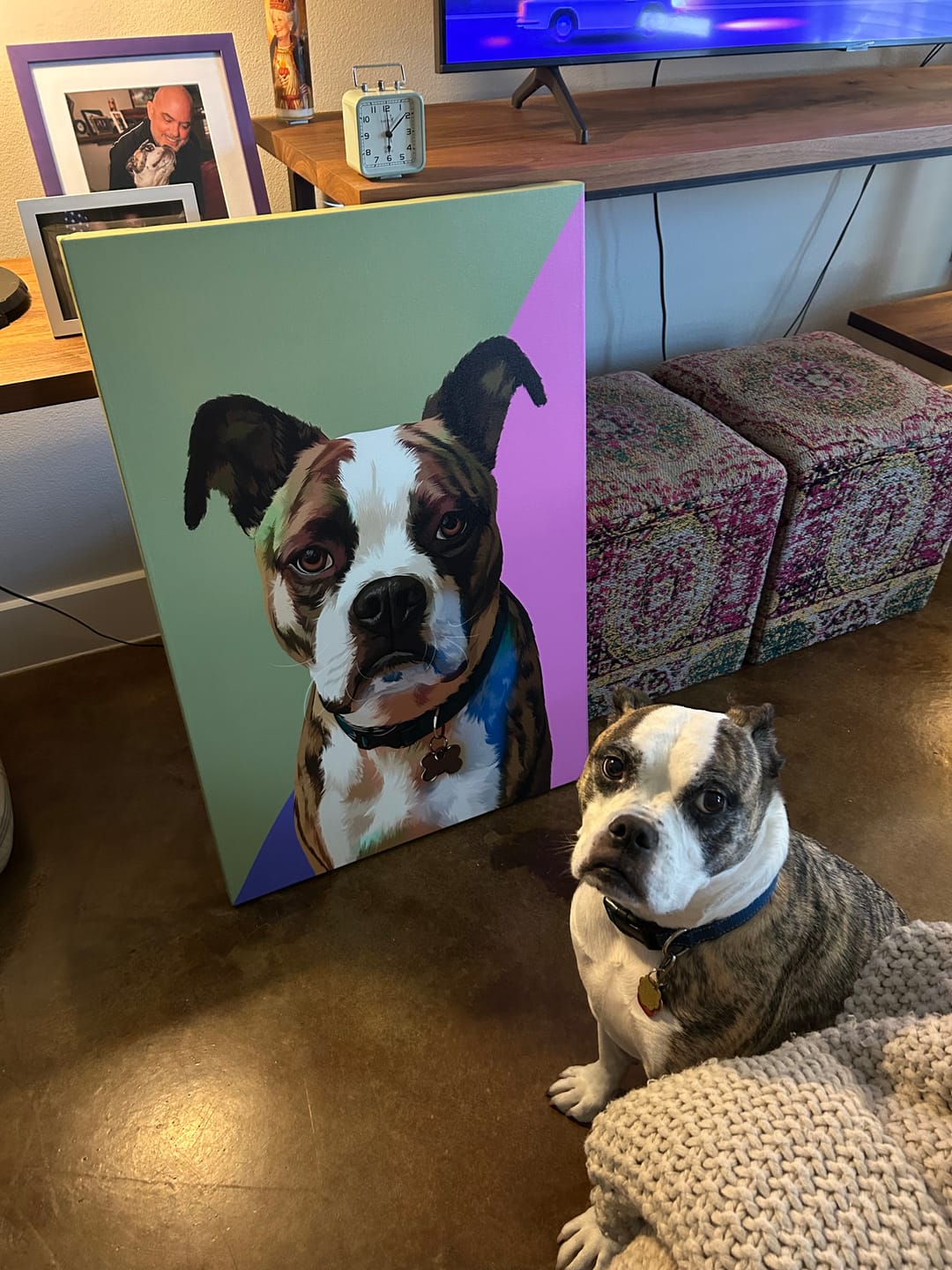 Modern vs. Classic: Which Pet Portrait Style Fits Your Home Best? - MyPetMade