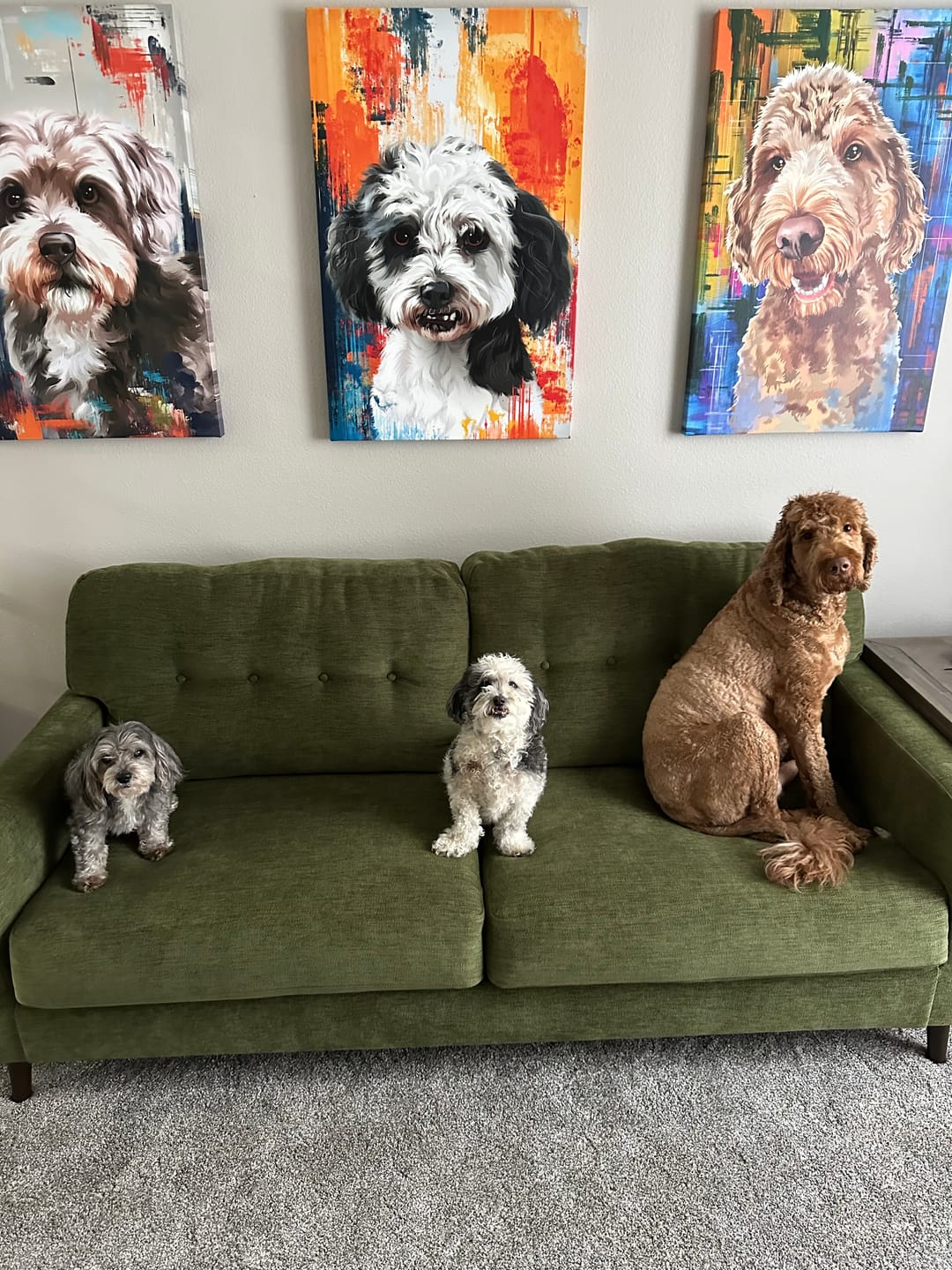 《Why a Custom Pet Gift is the Perfect Surprise for a Pet Lover》 - MyPetMade