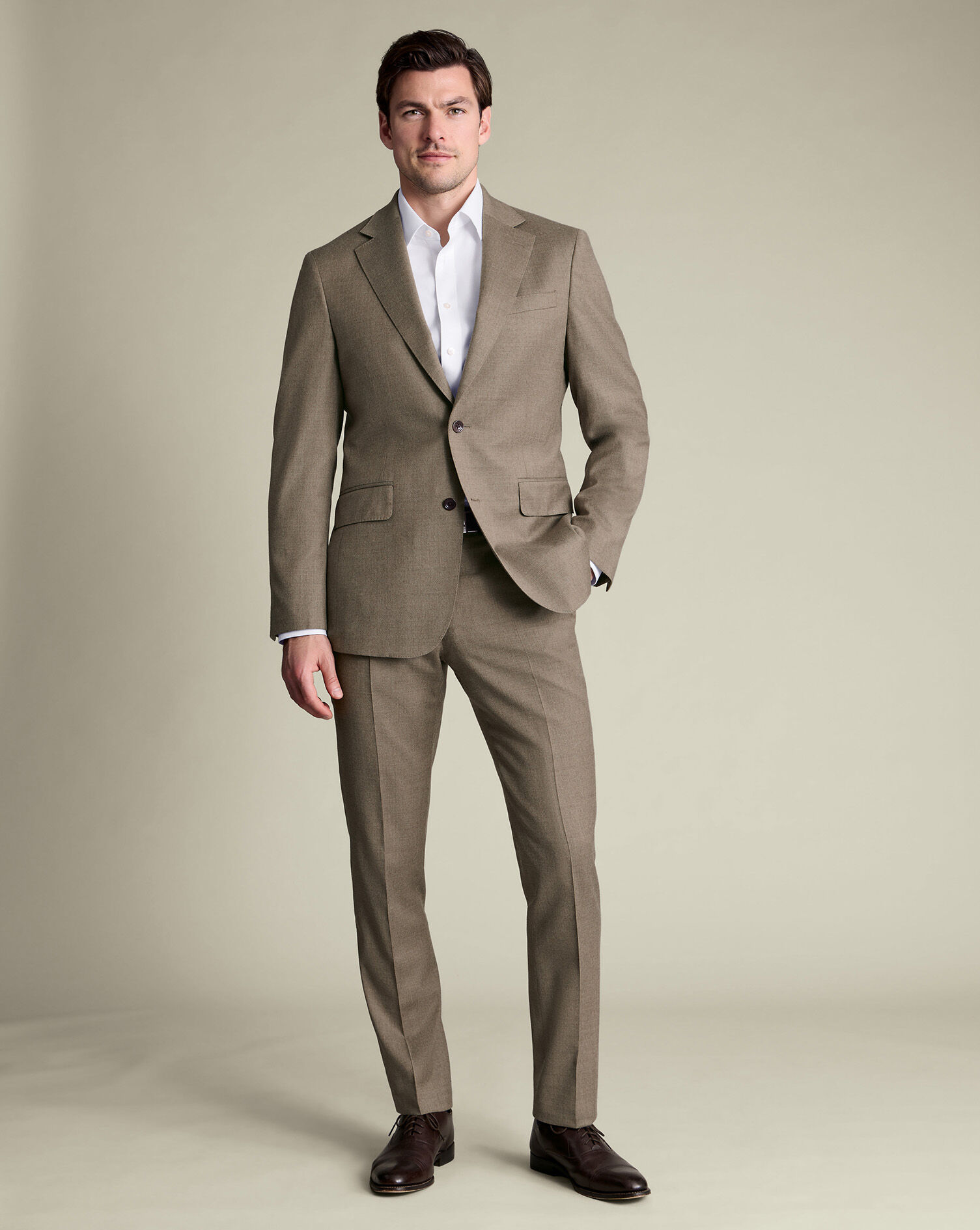 Italian Flannel Suit Pants - Taupe