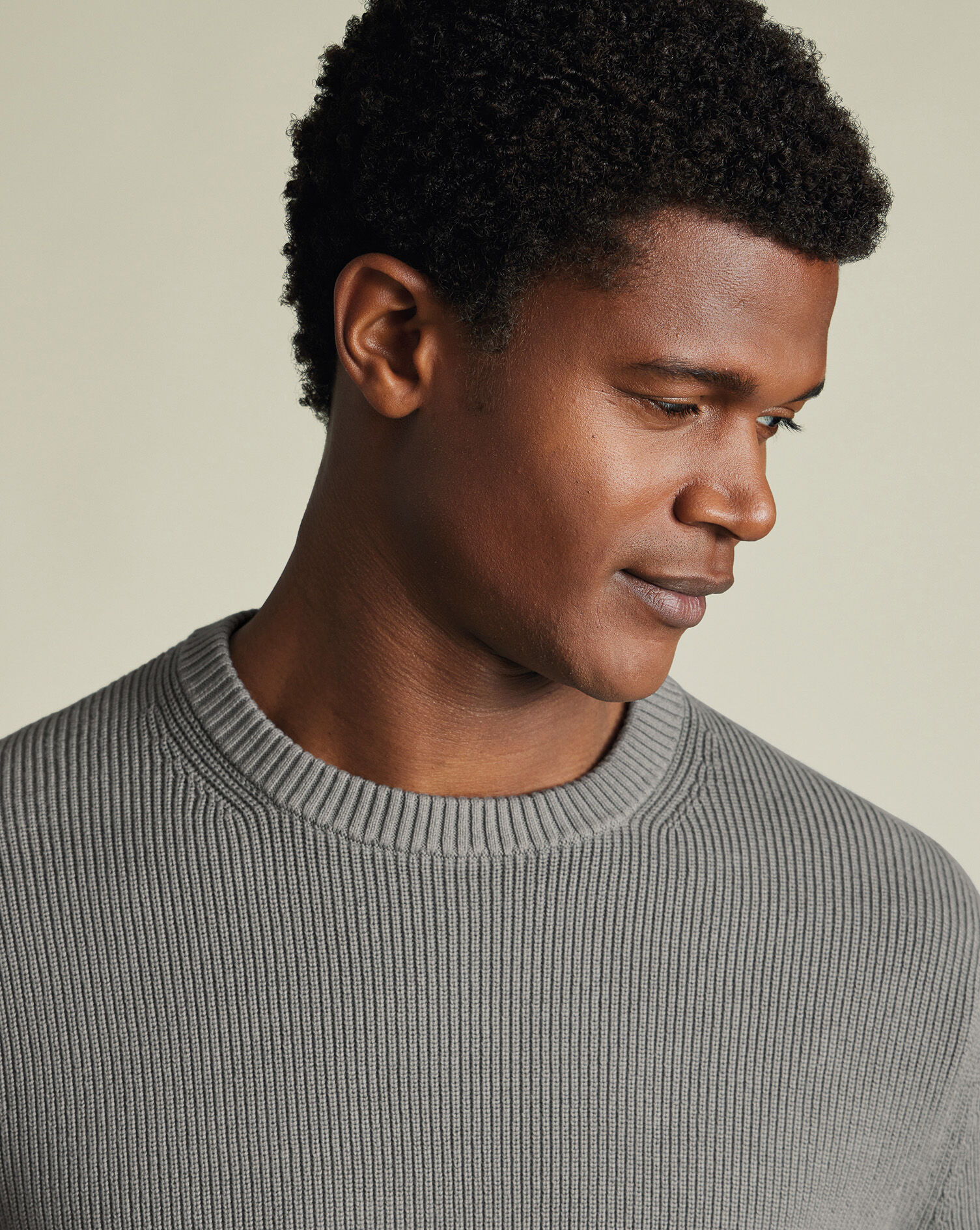 Cotton Rib Crew Neck Sweater - Gray