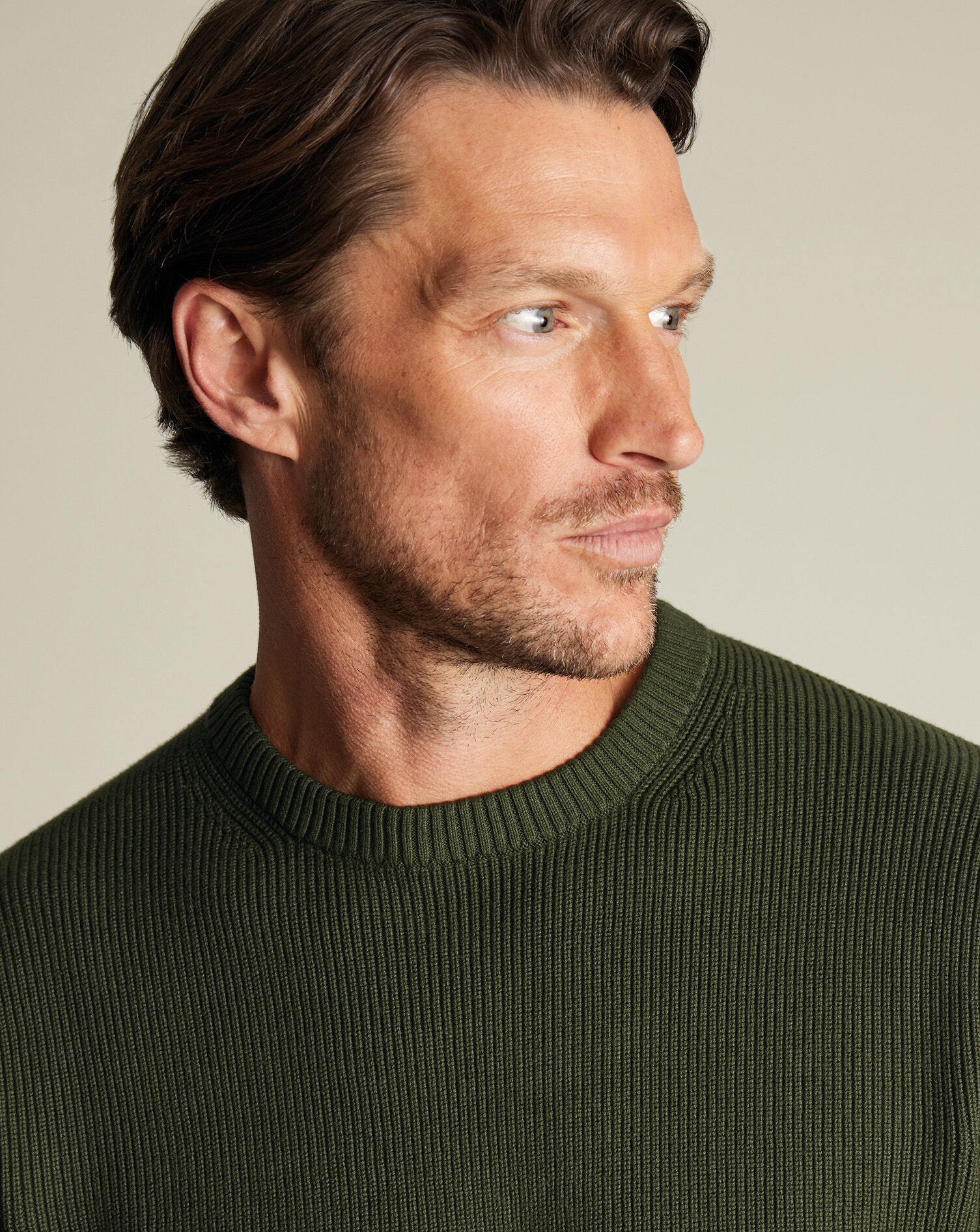 Cotton Rib Crew Neck Sweater - Olive