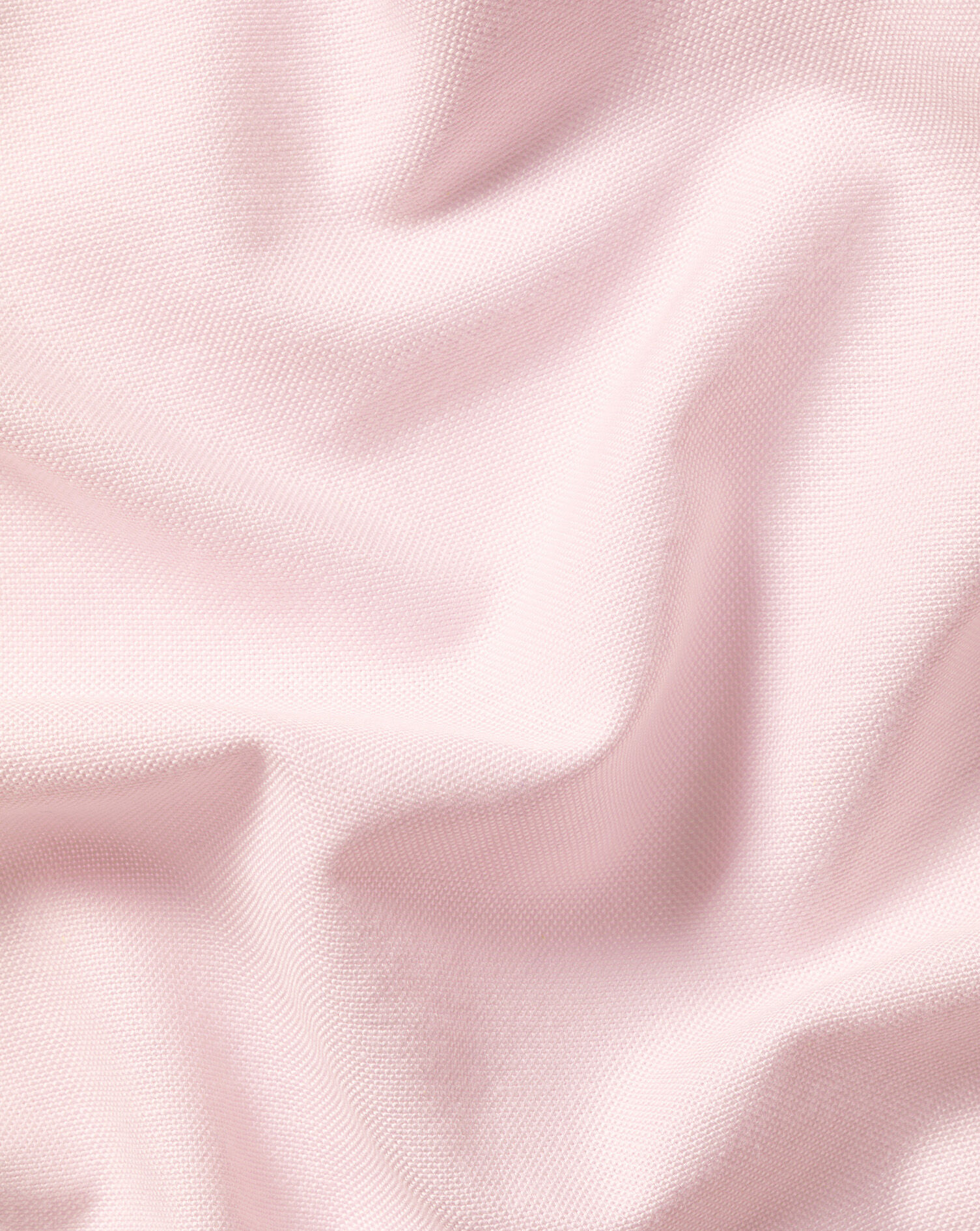 England Rugby Button-Down Washed Oxford Shirt - Pink