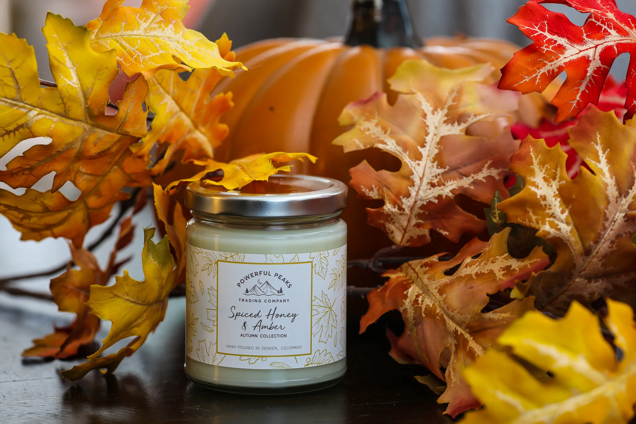 Spiced Honey & Amber - Honey | Bergamot | Tonka - 8 oz. Soy Wax Candle