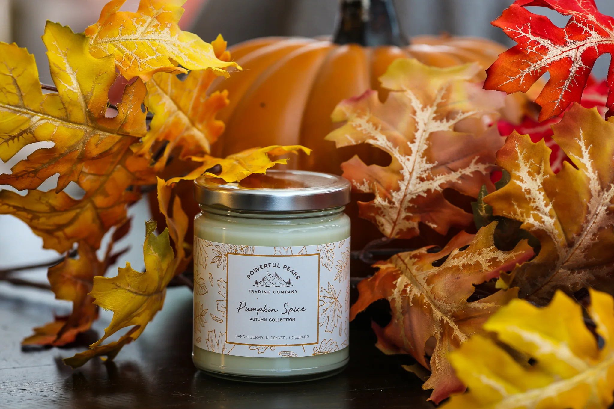 Pumpkin Spice - Pumpkin | Cinnamon | Nutmeg - 8 oz. Soy Wax Candle