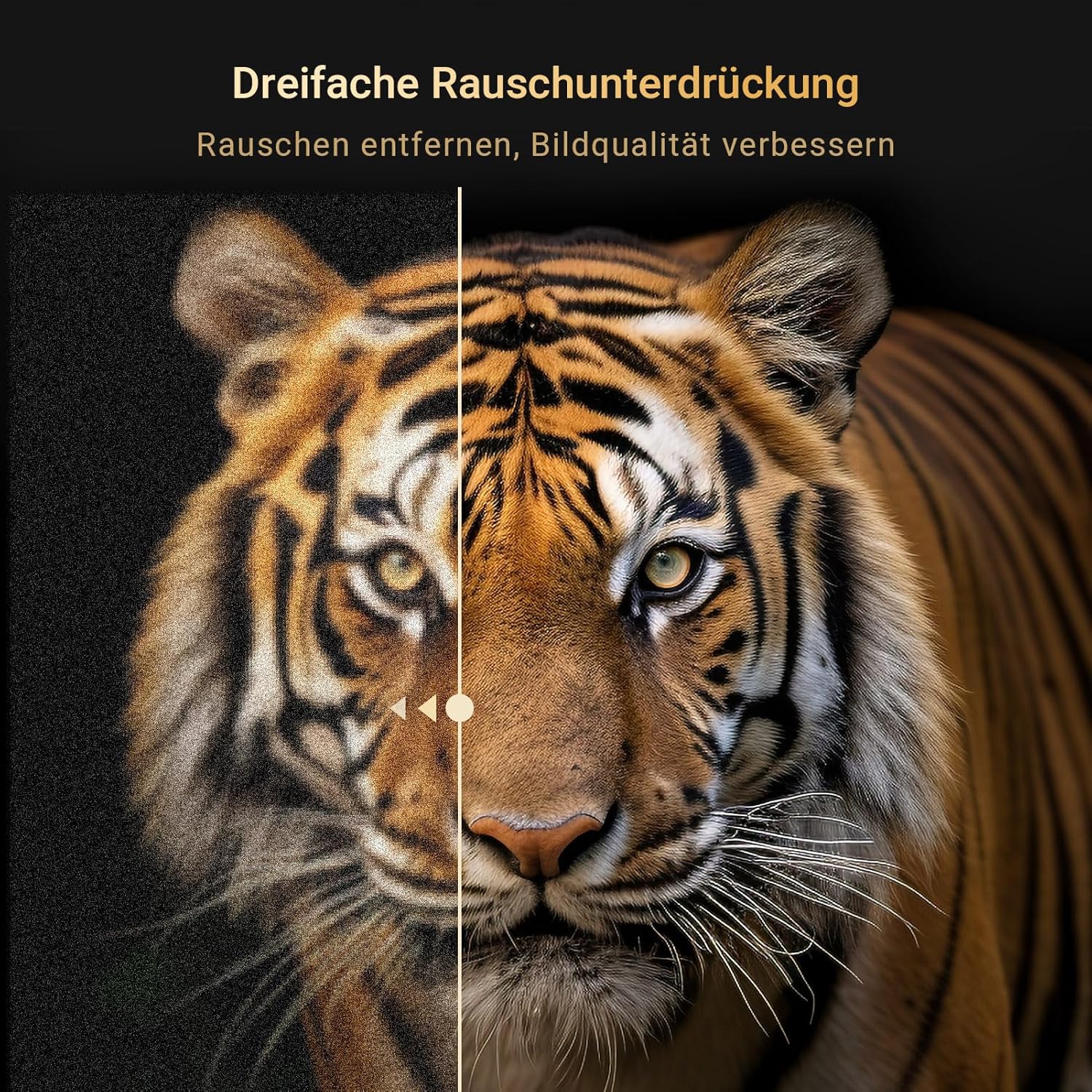 RCA RS32H2 Android Smart TV 32 inch (80 cm) Televisie met Google Assistant, Chromecast, Netflix, Prime Video, Google Play, YouTube, Disney+, WiFi, BT-afstandsbediening met microfoon, DVB-S/S2/T/T2/C