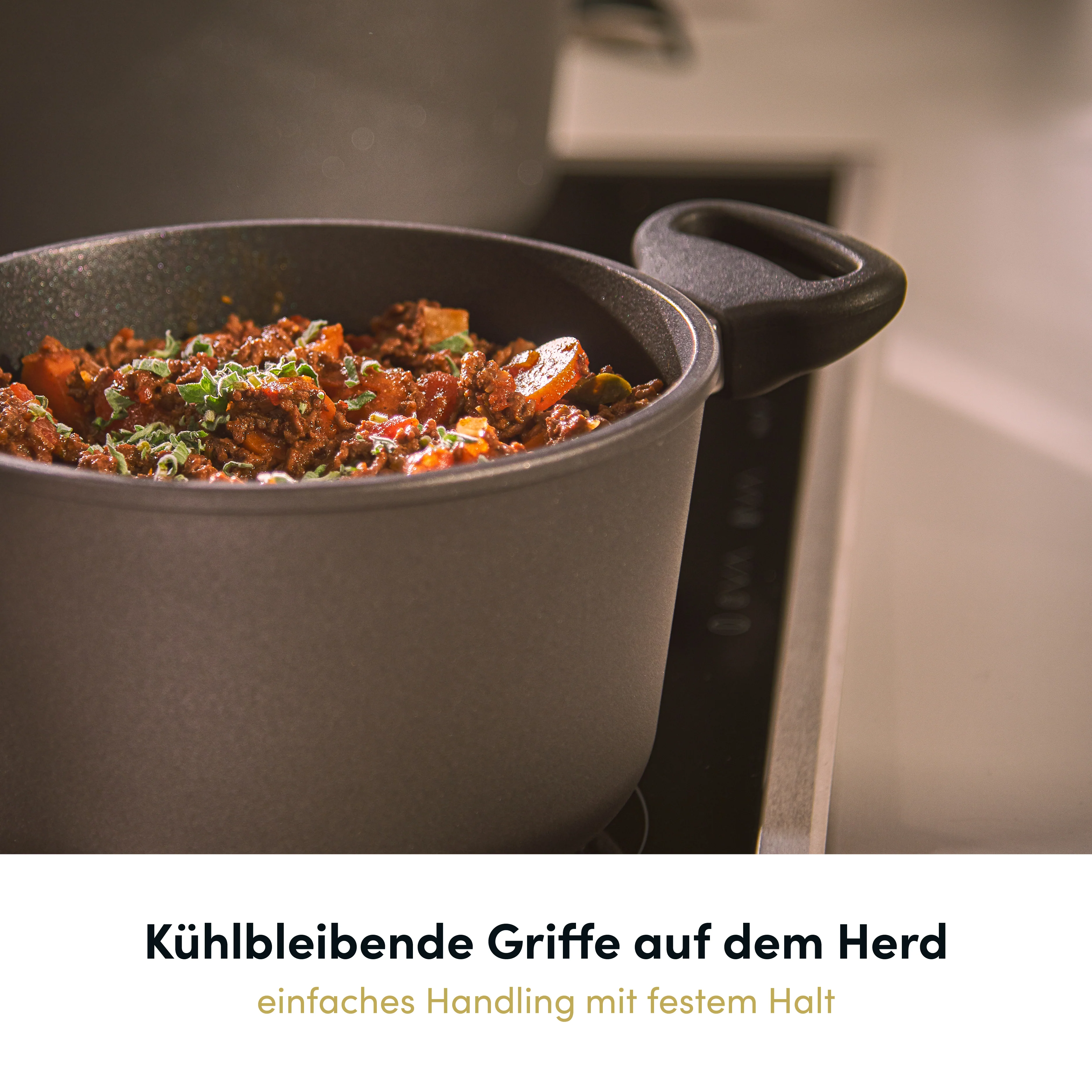 2025 Schmorpfanne / Br?ter rund ? 20-32 cm I Deckel optional