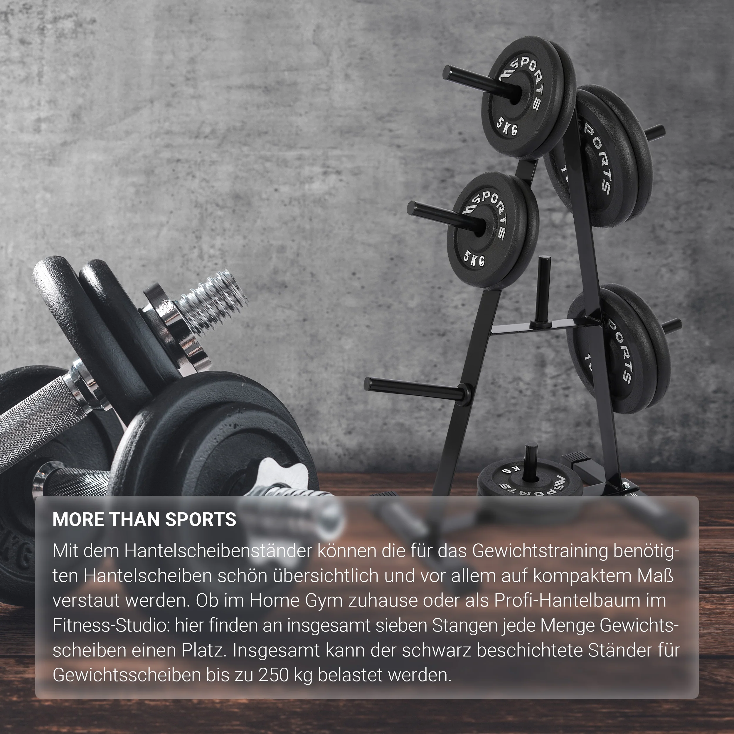 2025 Halterschijvenstandaard Premium