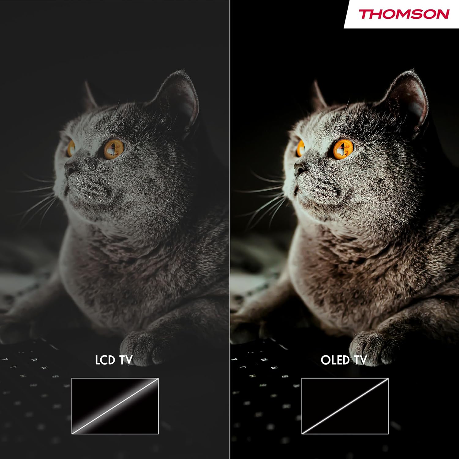 THOMSON 32 Inch (81cm) Full HD Google Smart TV, Wi-Fi, Dolby Audio, HDR10, Bluetooth 5.1, Triple Tuner (Cable/Satellite/Antenna), HDMI, CI+, A+ Panel - 32FG2S14