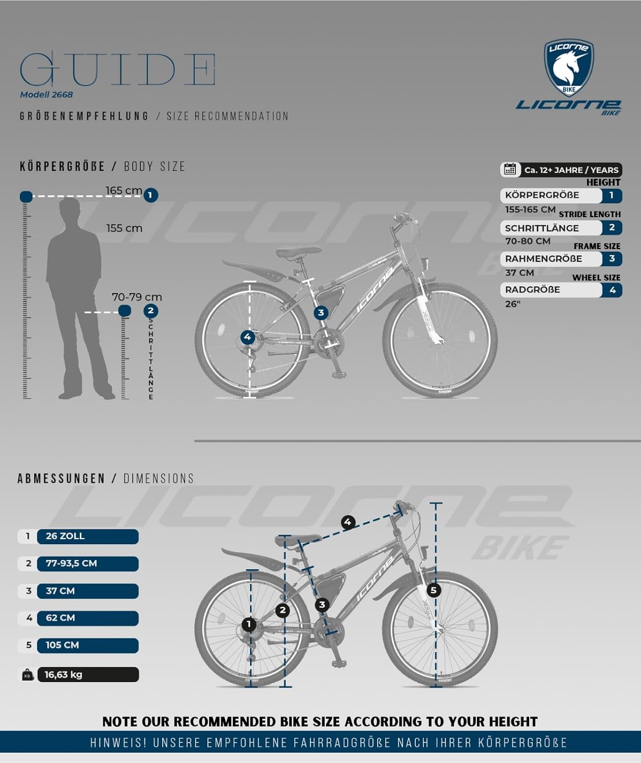 Licorne Bike Mountain Bike Guide for Girls, Boys, Women and Men, Shimano 21-Speed Gear