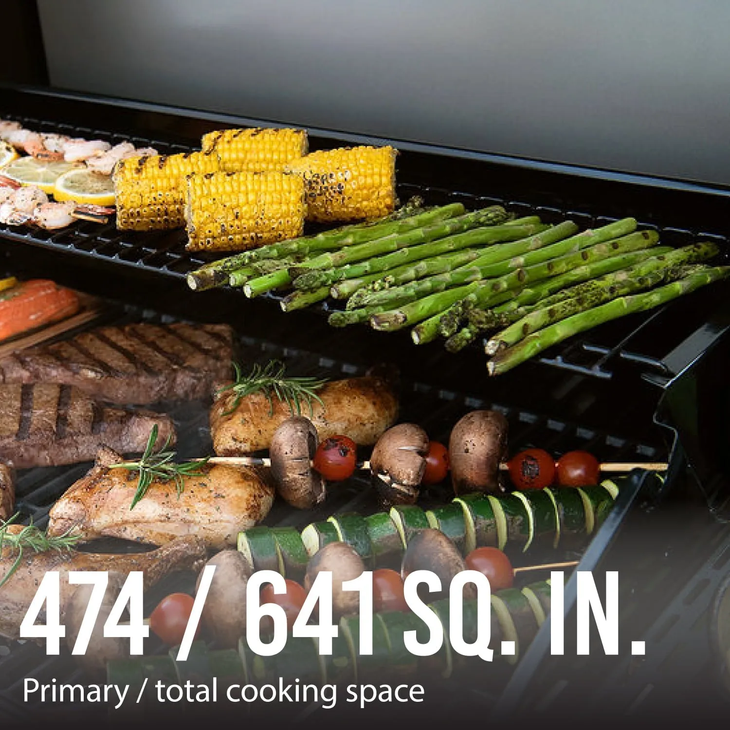 Expert Grill 5-pits propaangasgrill met zijbrander