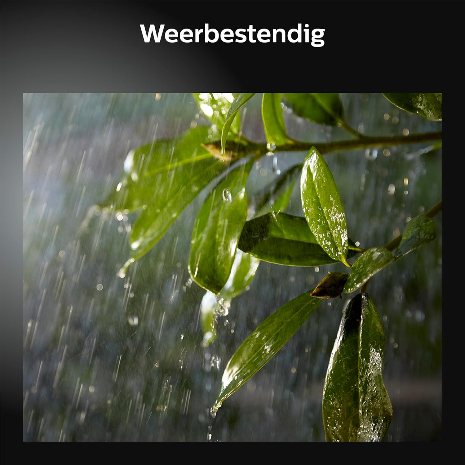 Philips Hue White and Colour Ambiance LED Garden Lights