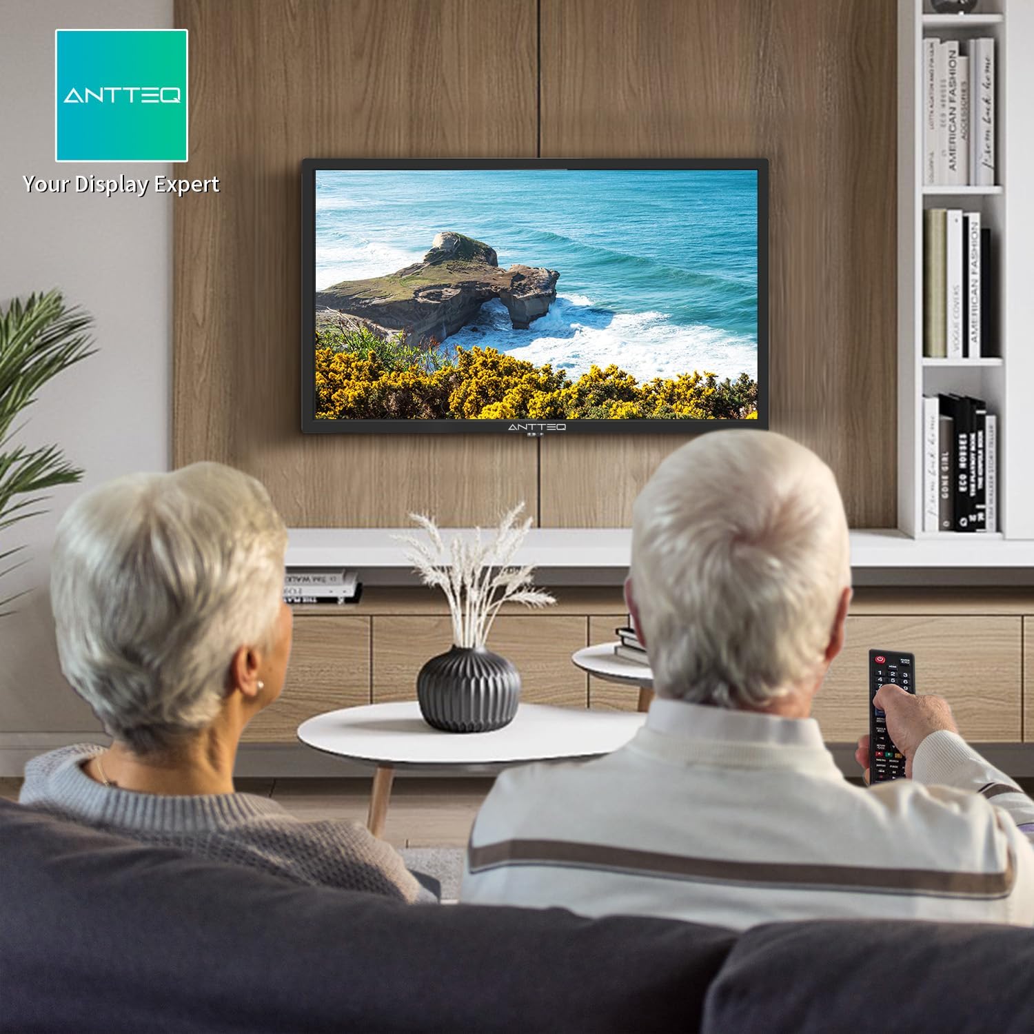 ANTTEQ AB42D1 TV 42 Inch (TV 106 cm), Dolby Audio, LED, HDMI, Media Player via USB, Digital Audio Output, Triple Tuner DVB-C/T2/S2, CI+, Hotel Mode Included