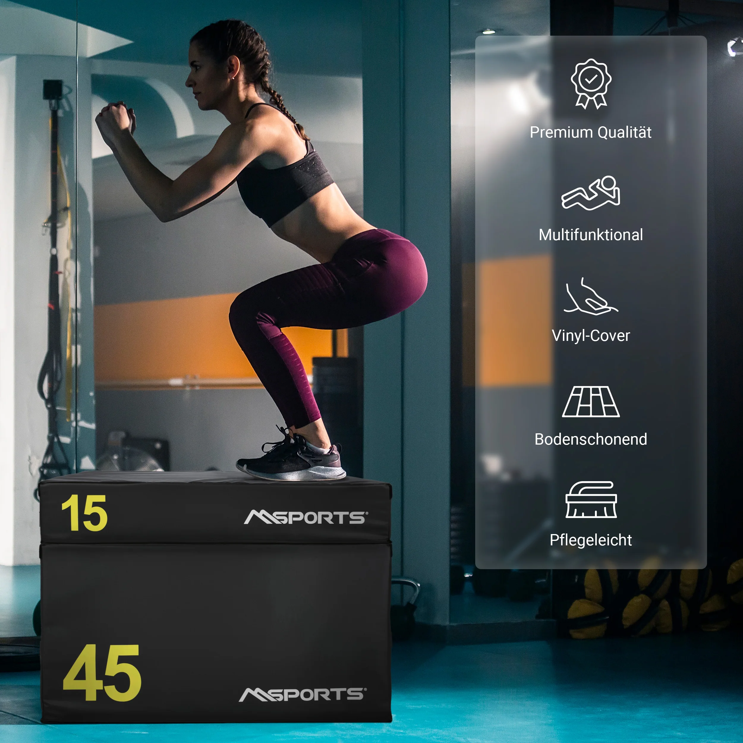 2025 Plyo Box Professional