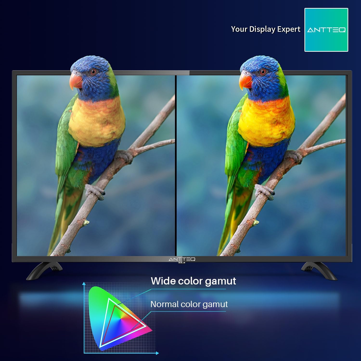 ANTTEQ AB42D1 TV 42 Inch (TV 106 cm), Dolby Audio, LED, HDMI, Media Player via USB, Digital Audio Output, Triple Tuner DVB-C/T2/S2, CI+, Hotel Mode Included