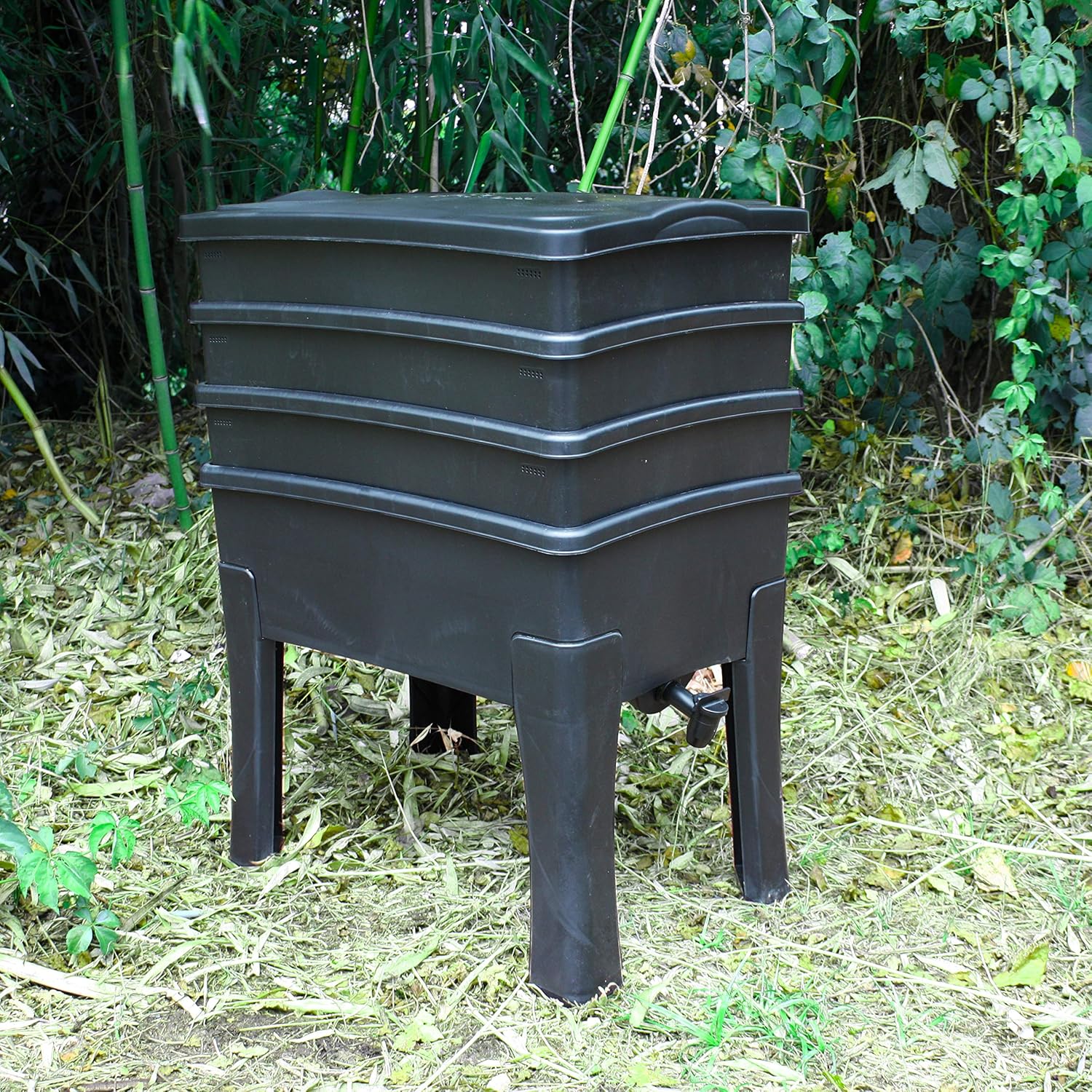 Worm Café, 3-bin Worm Box I Complete Kit I Large Capacity 96 liters