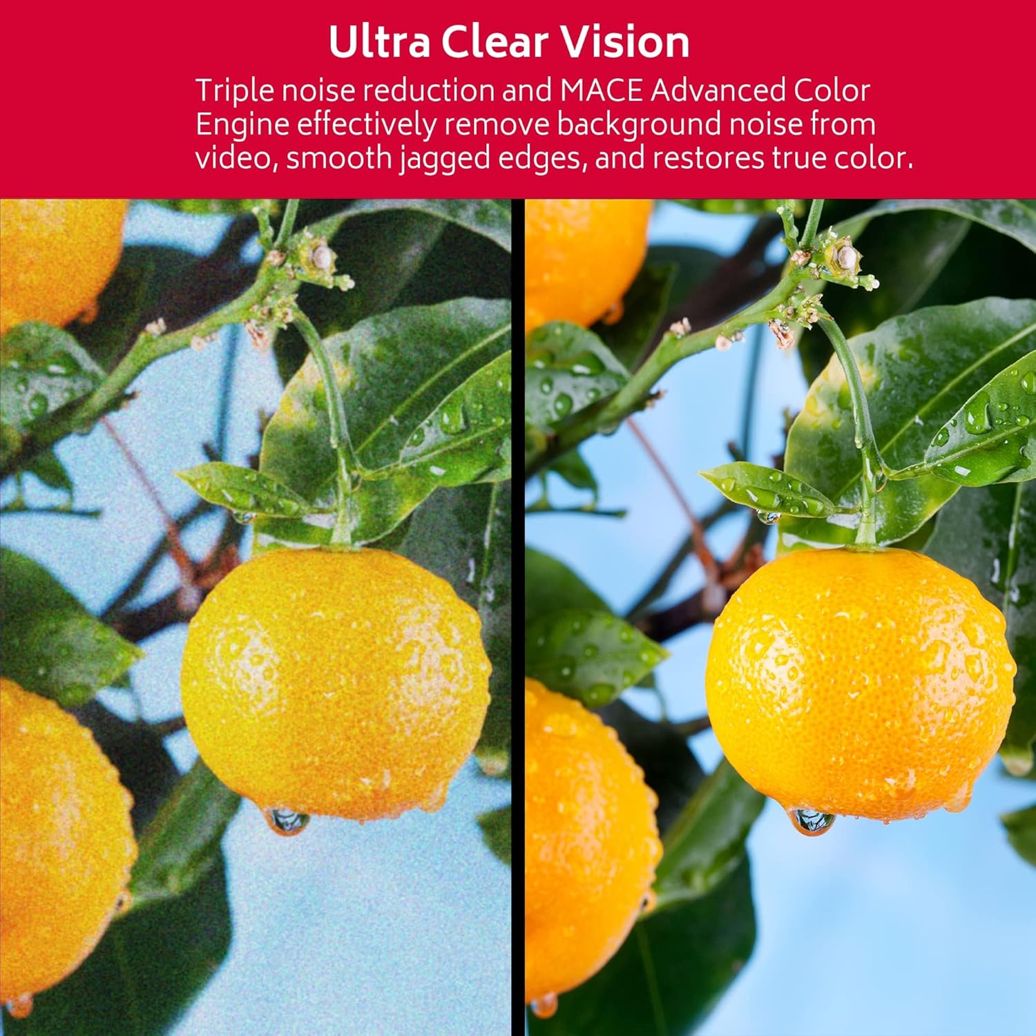 RCA RS32H2 Android Smart TV 32 inch (80 cm) Televisie met Google Assistant, Chromecast, Netflix, Prime Video, Google Play, YouTube, Disney+, WiFi, BT-afstandsbediening met microfoon, DVB-S/S2/T/T2/C